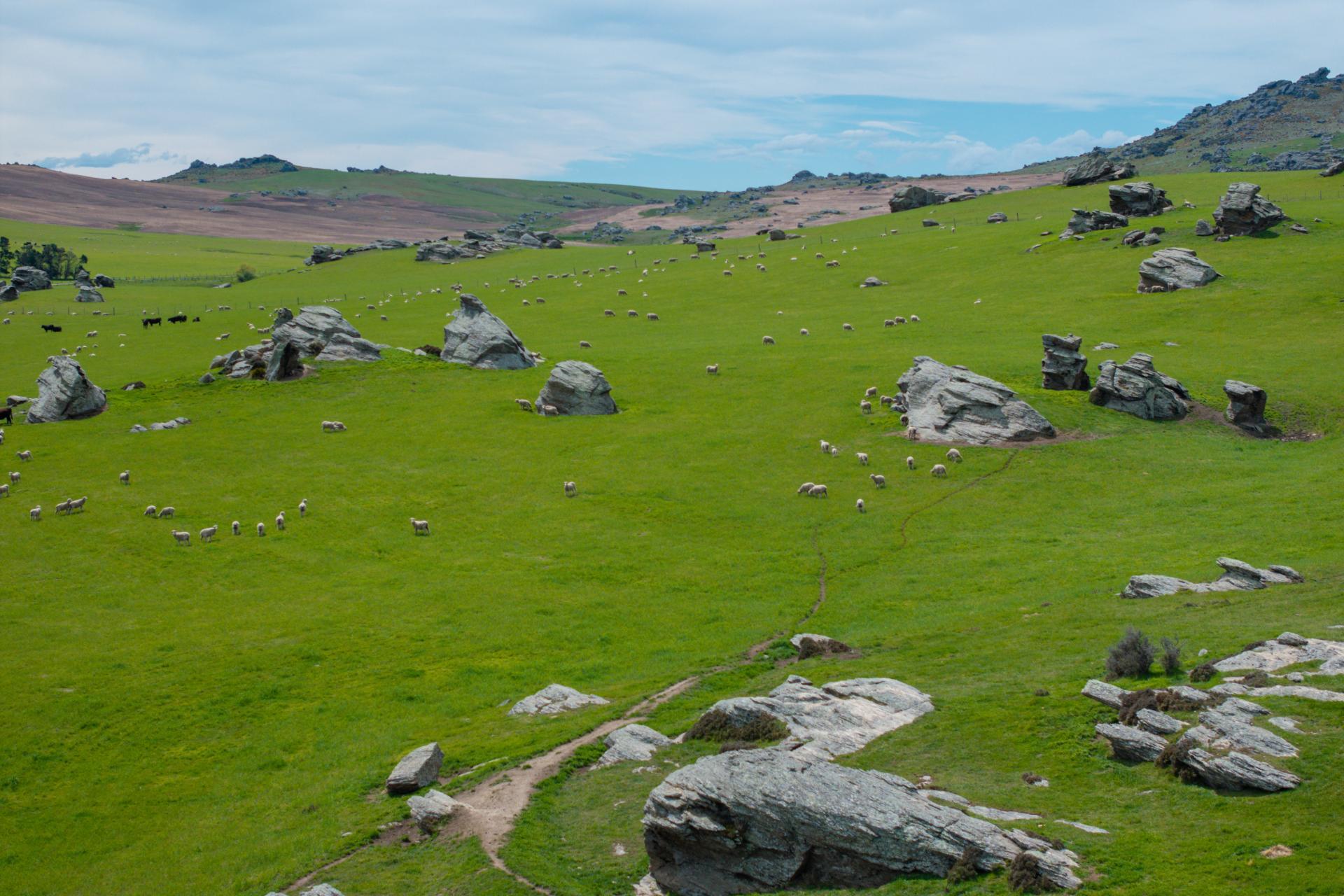 5582 Wedderburn-Becks Road and 755-971 Linnburn Runs Road, Hills Creek