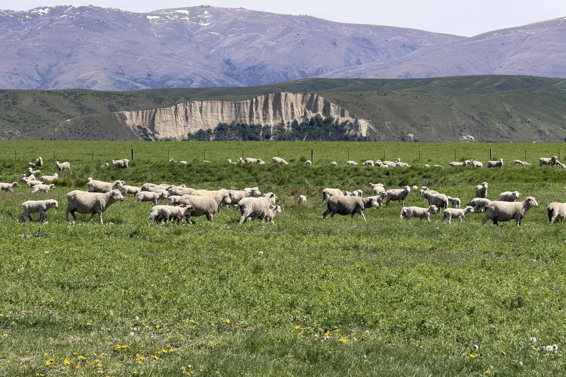 5582 Wedderburn-Becks Road, Hills Creek