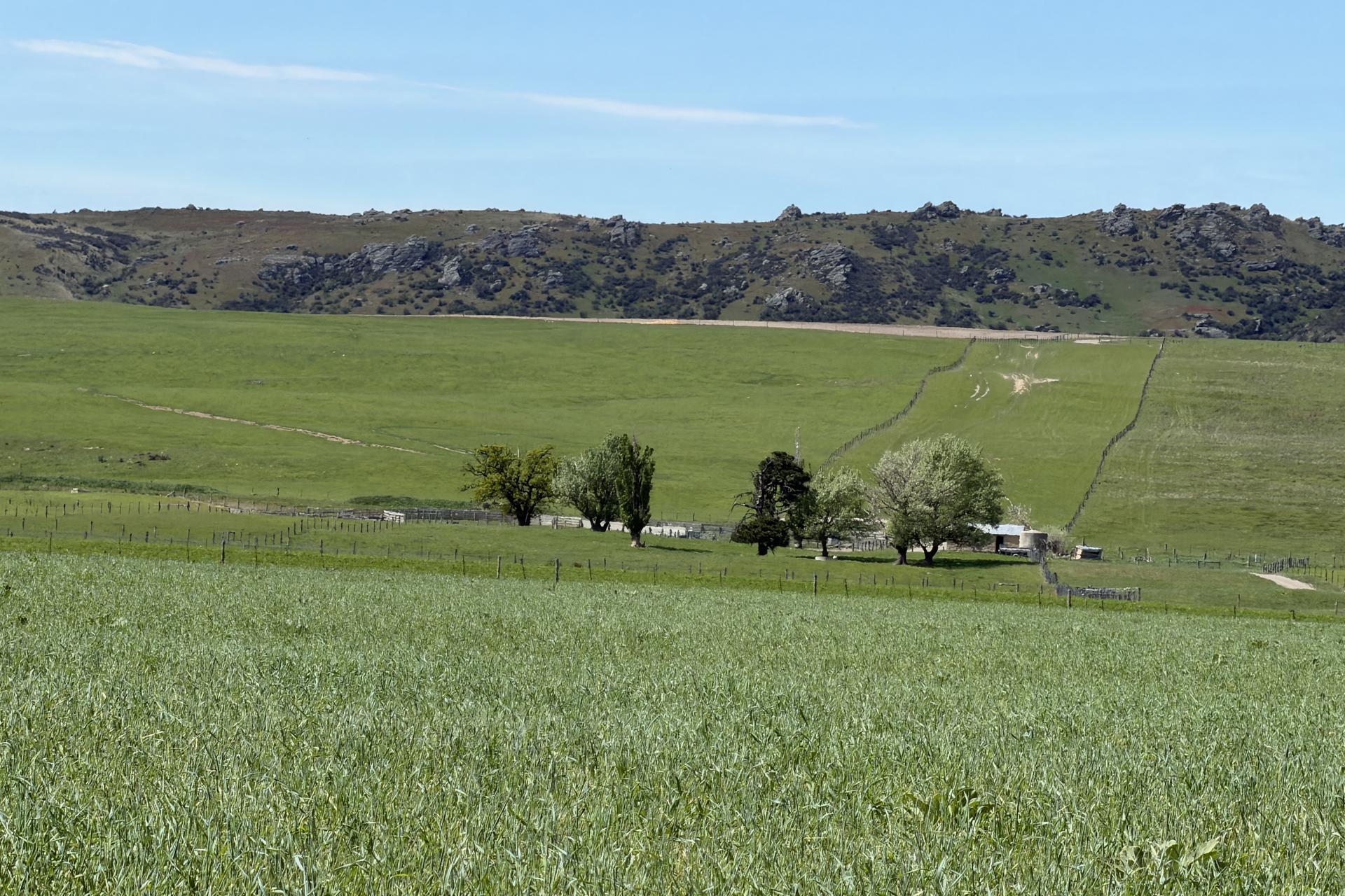 5582 Wedderburn-Becks Road, Hills Creek