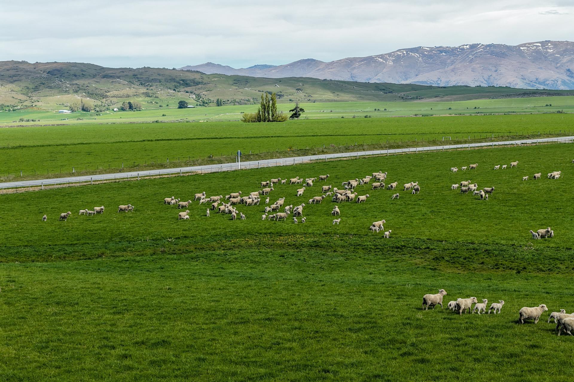 5582 Wedderburn-Becks Road, Hills Creek