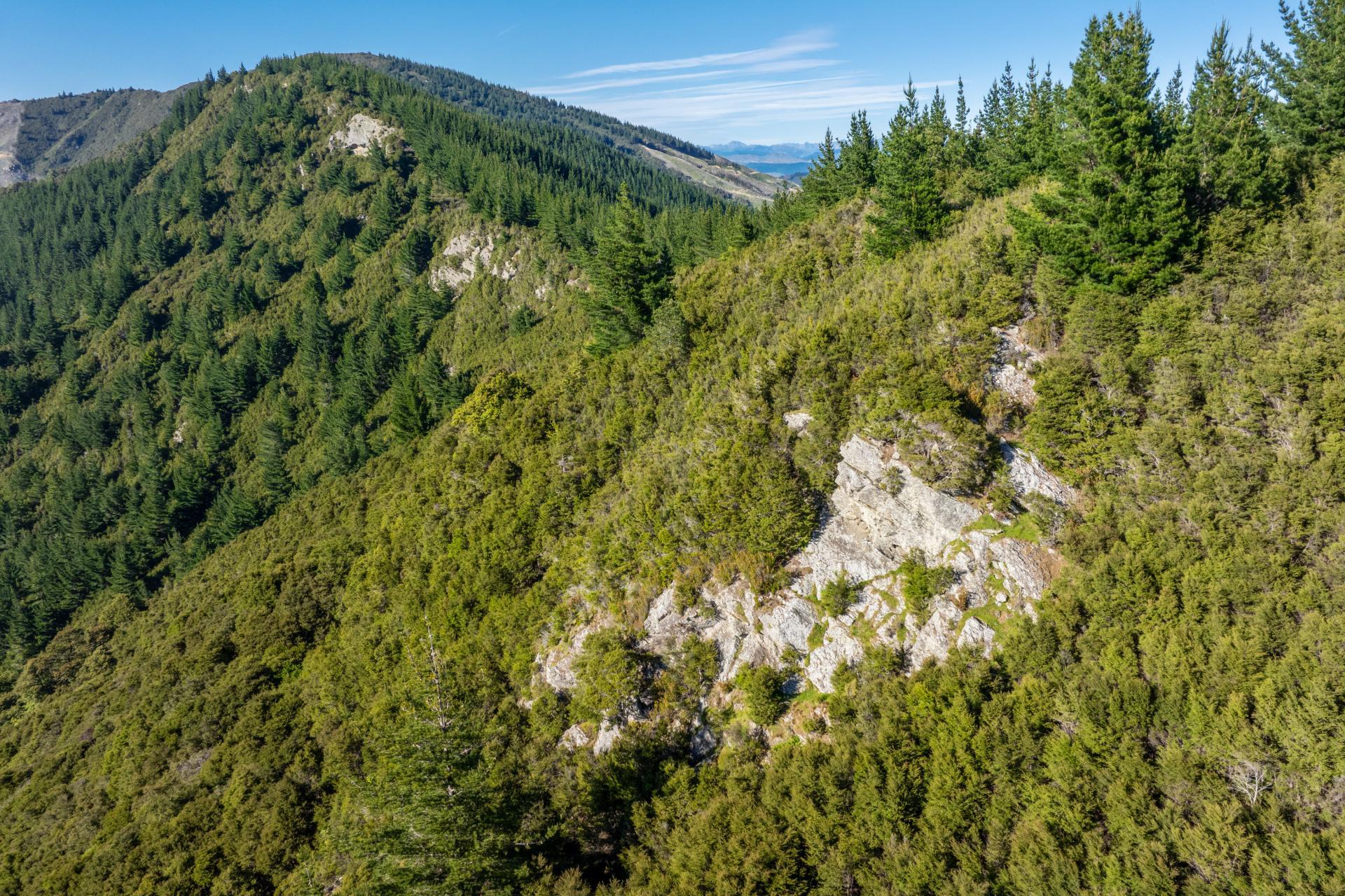 793 Waikakaho Road, Tua Marina