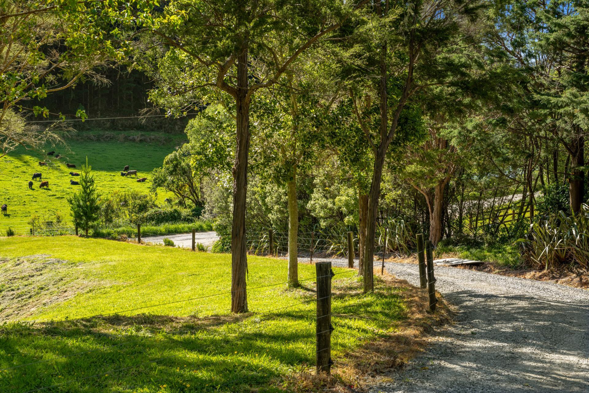 793 Waikakaho Road, Tua Marina