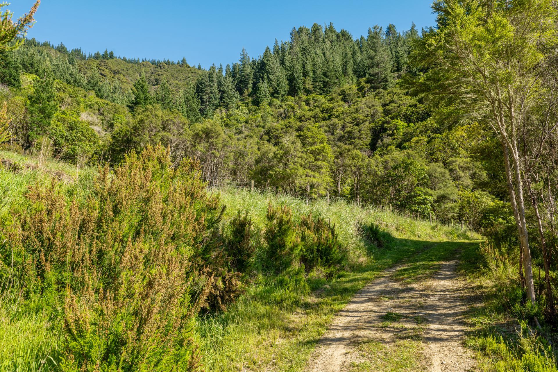 793 Waikakaho Road, Tua Marina