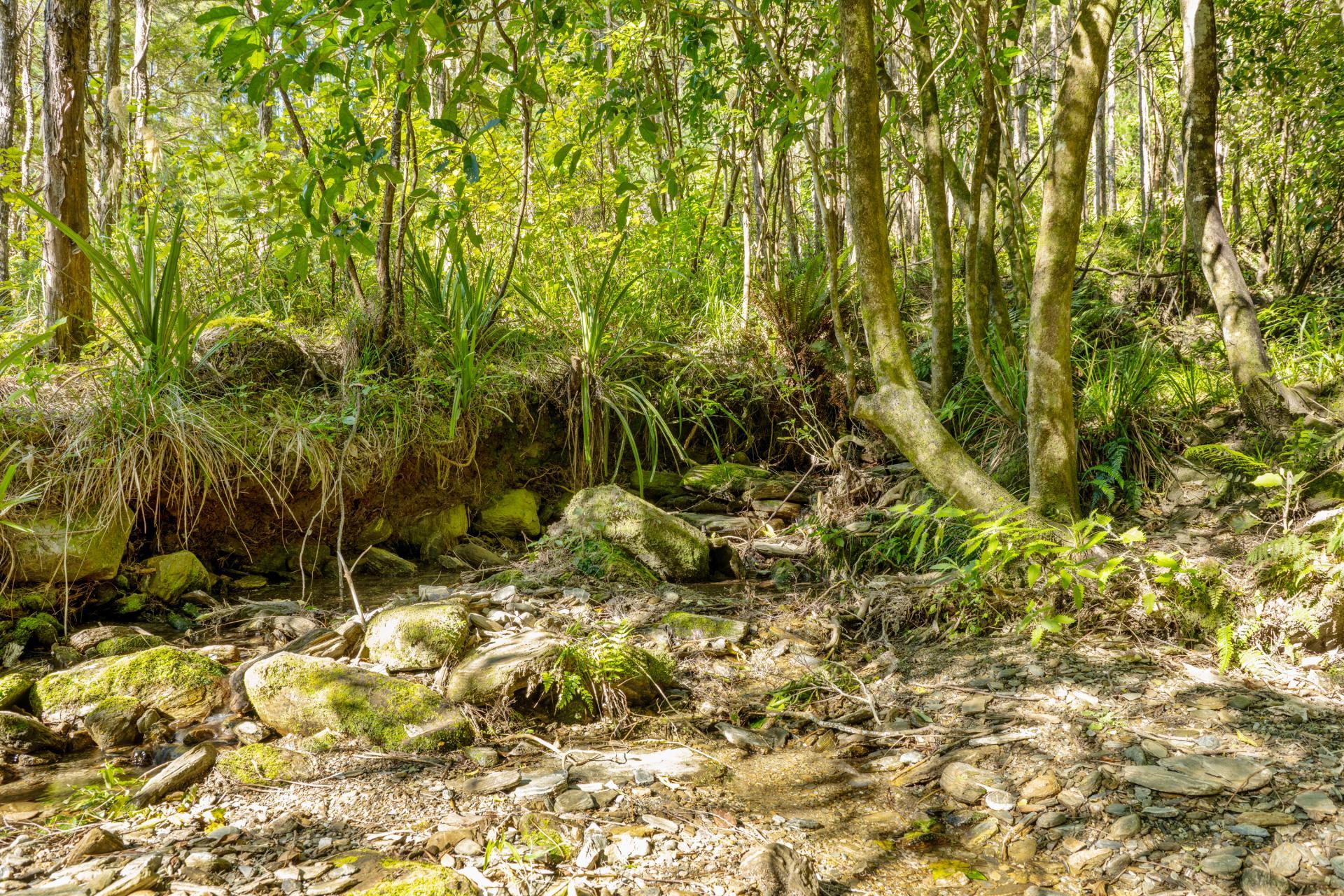 793 Waikakaho Road, Tua Marina