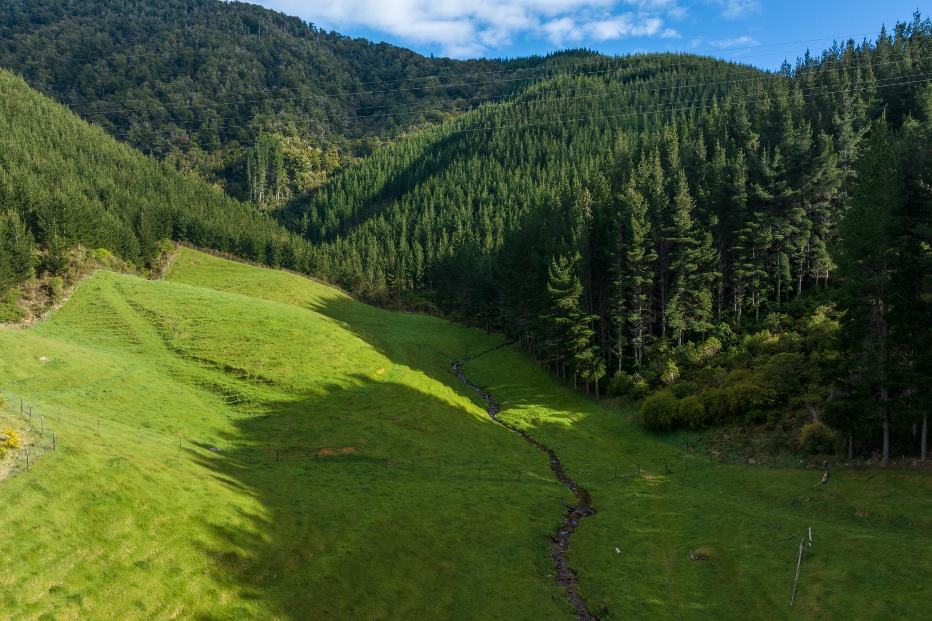 Lot 2 Maungatapu Road, Pelorus Bridge