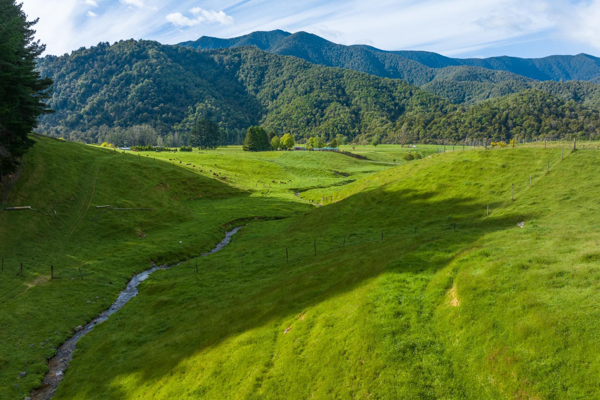 Lot 2 Maungatapu Road, Pelorus Bridge
