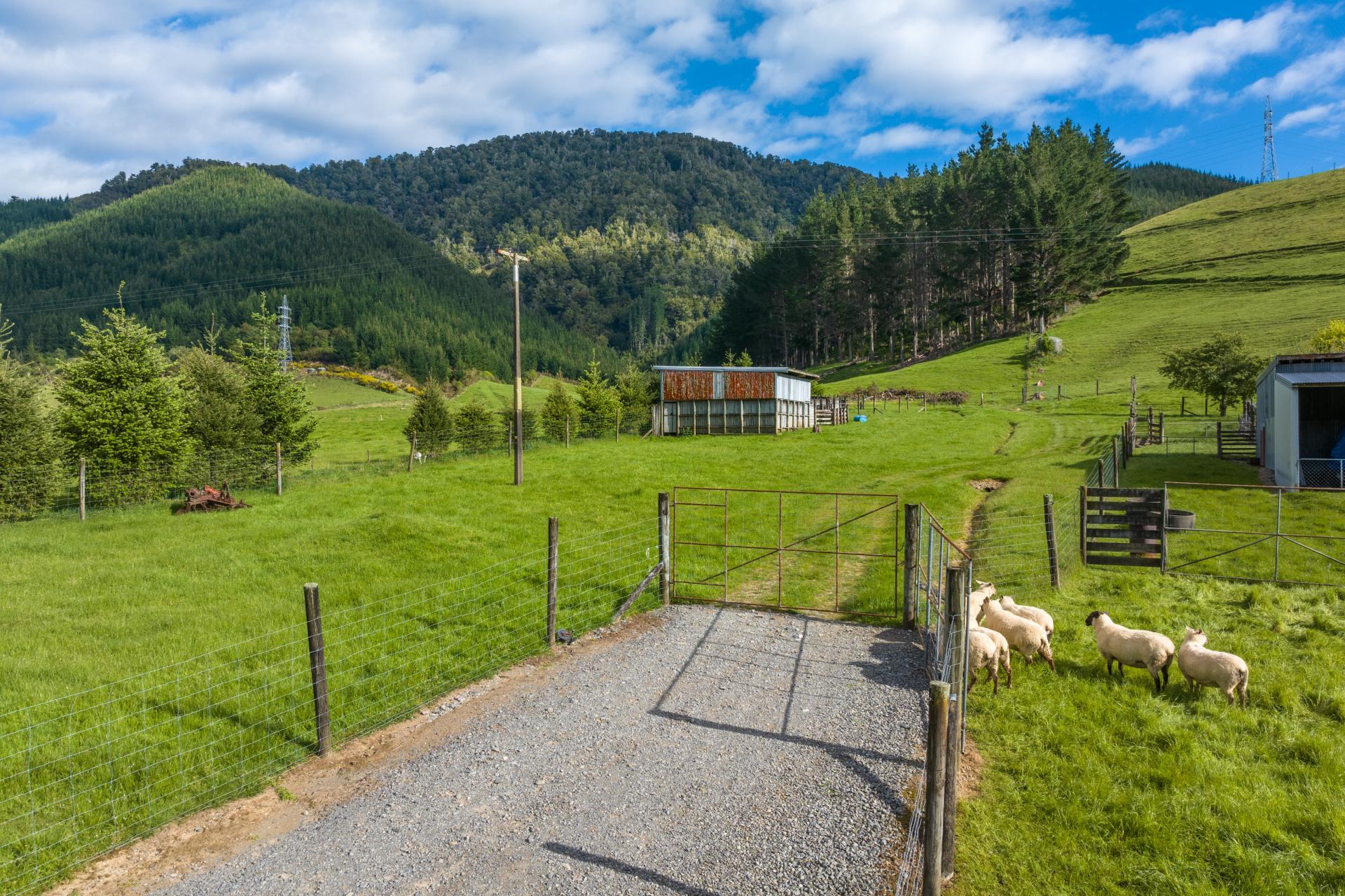 Lot 2 Maungatapu Road, Pelorus Bridge