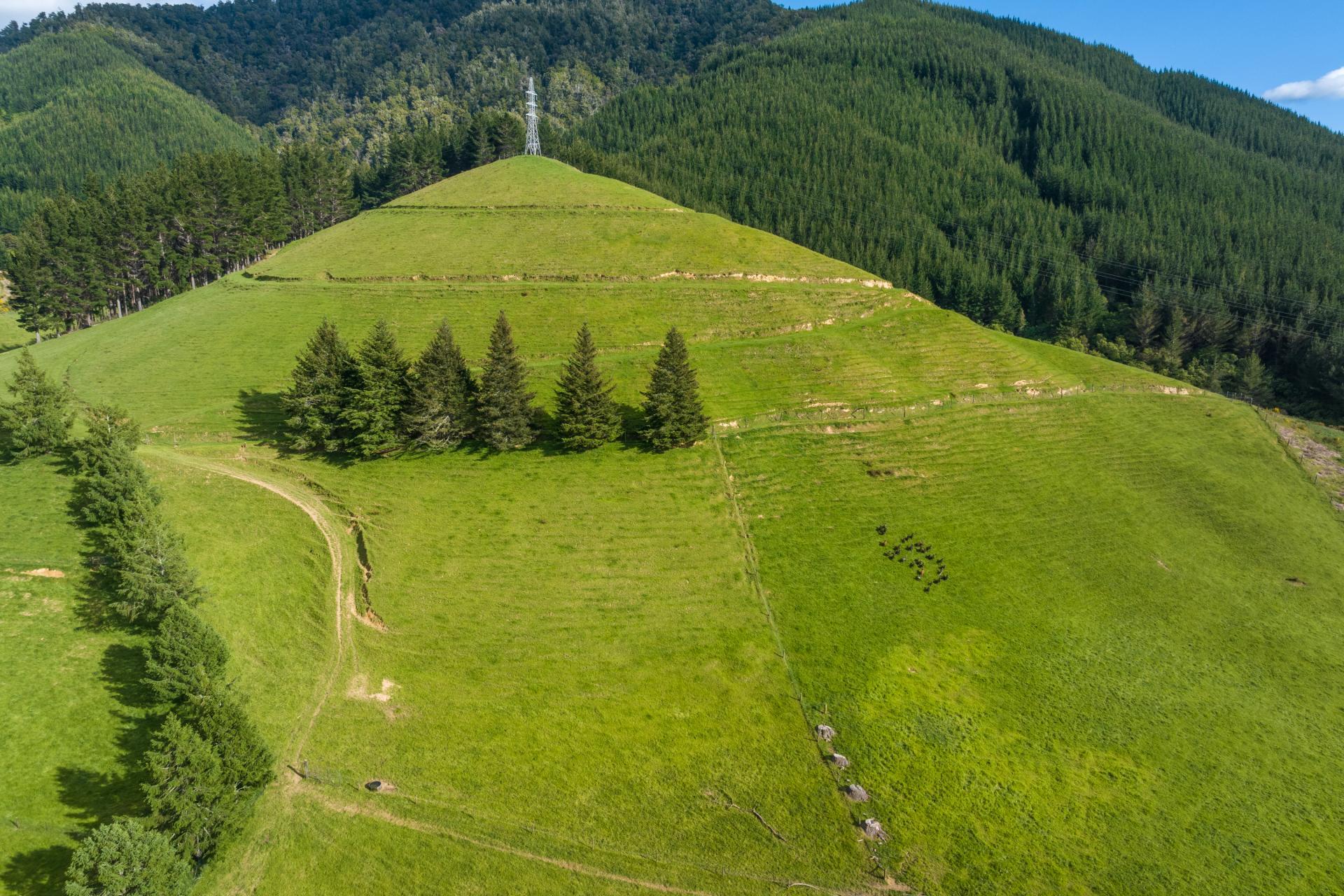 Lot 2 Maungatapu Road, Pelorus Bridge