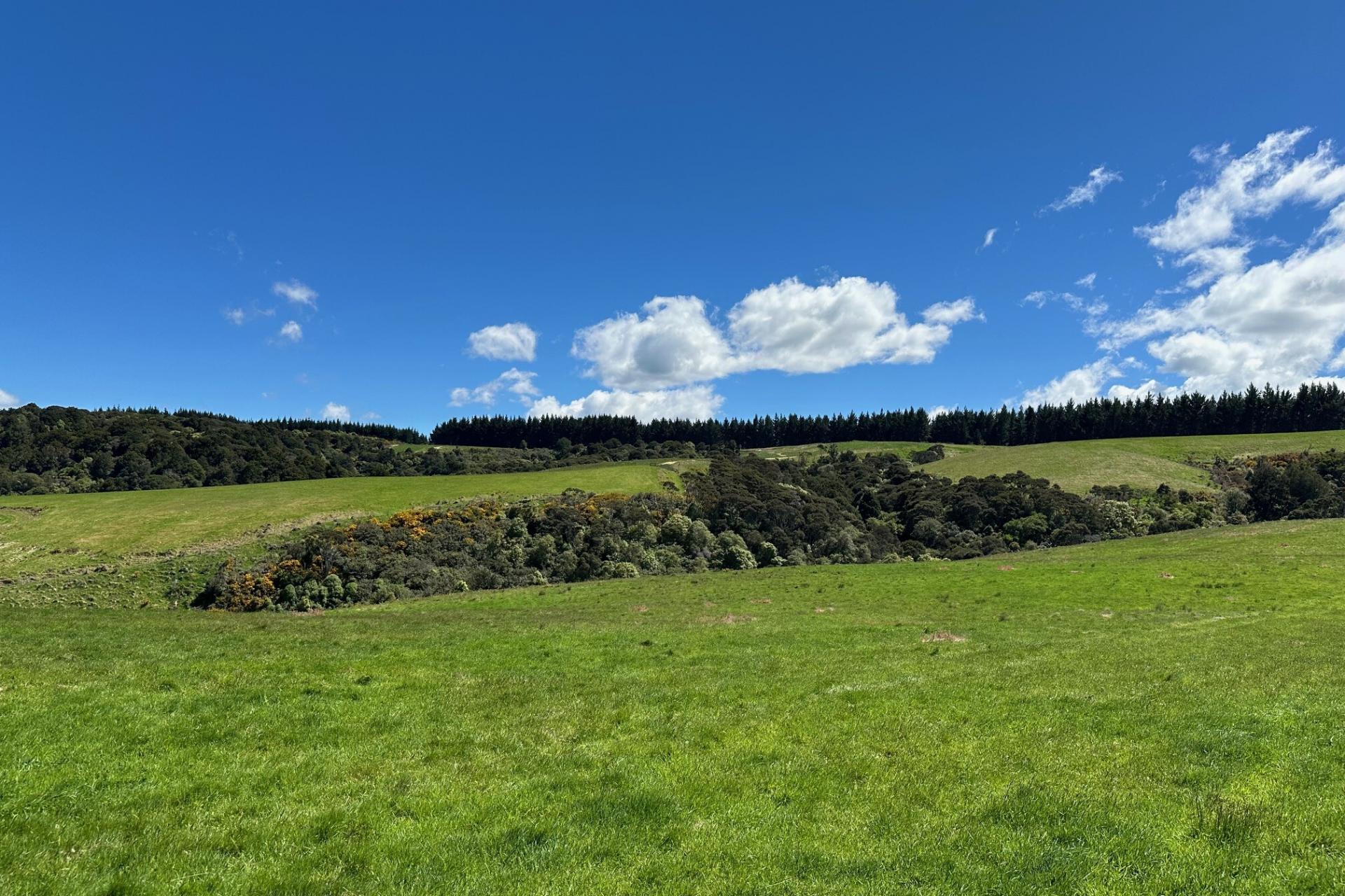 205 Otokia-Kuri Bush Road, Kuri Bush