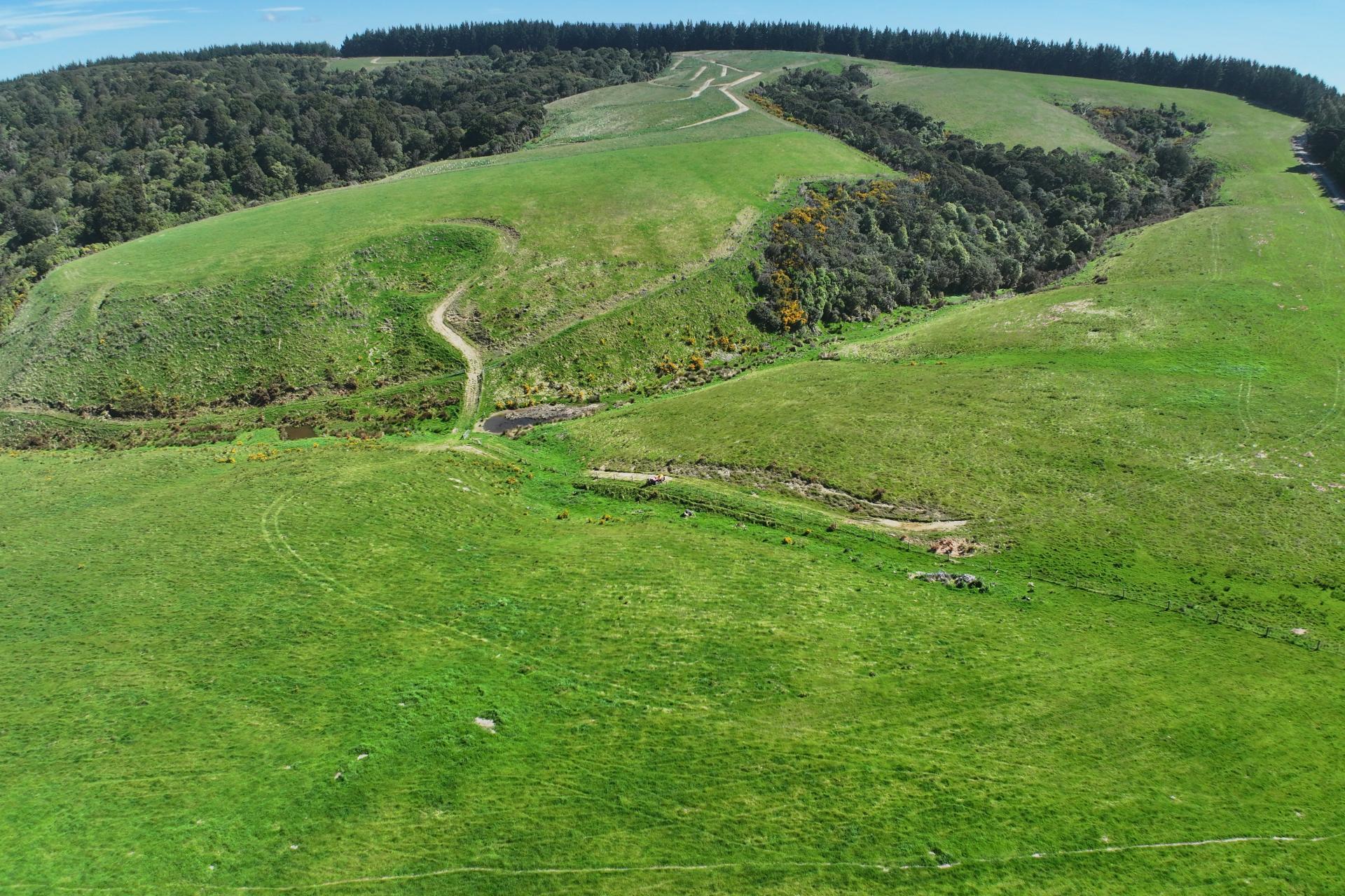 205 Otokia-Kuri Bush Road, Kuri Bush