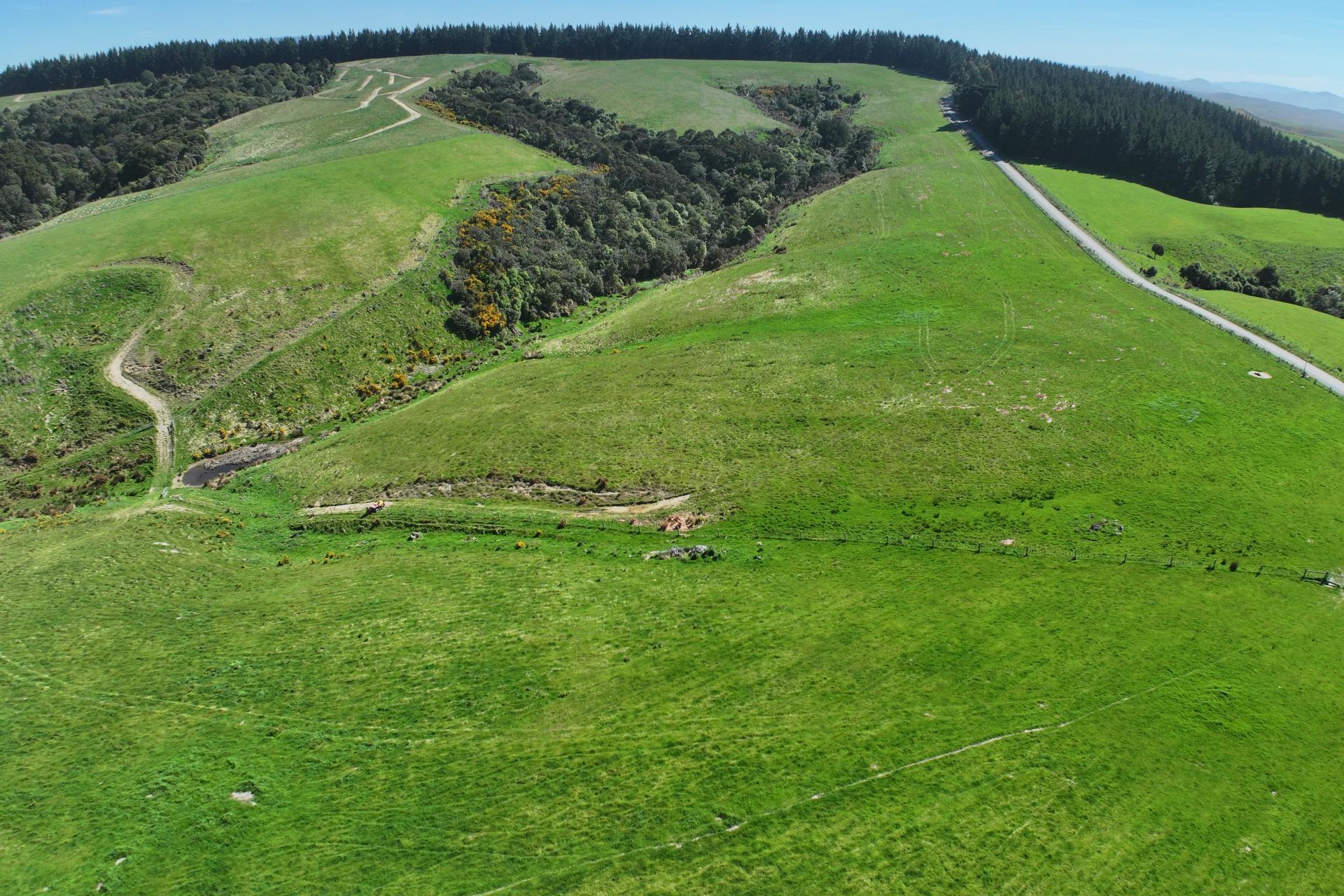 205 Otokia-Kuri Bush Road, Kuri Bush