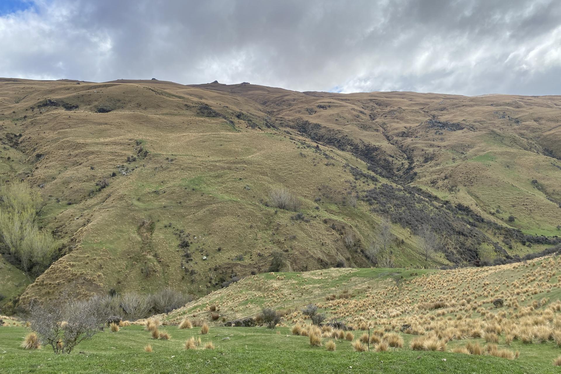 Mt Hope Road, Coal Creek Flat, Roxburgh
