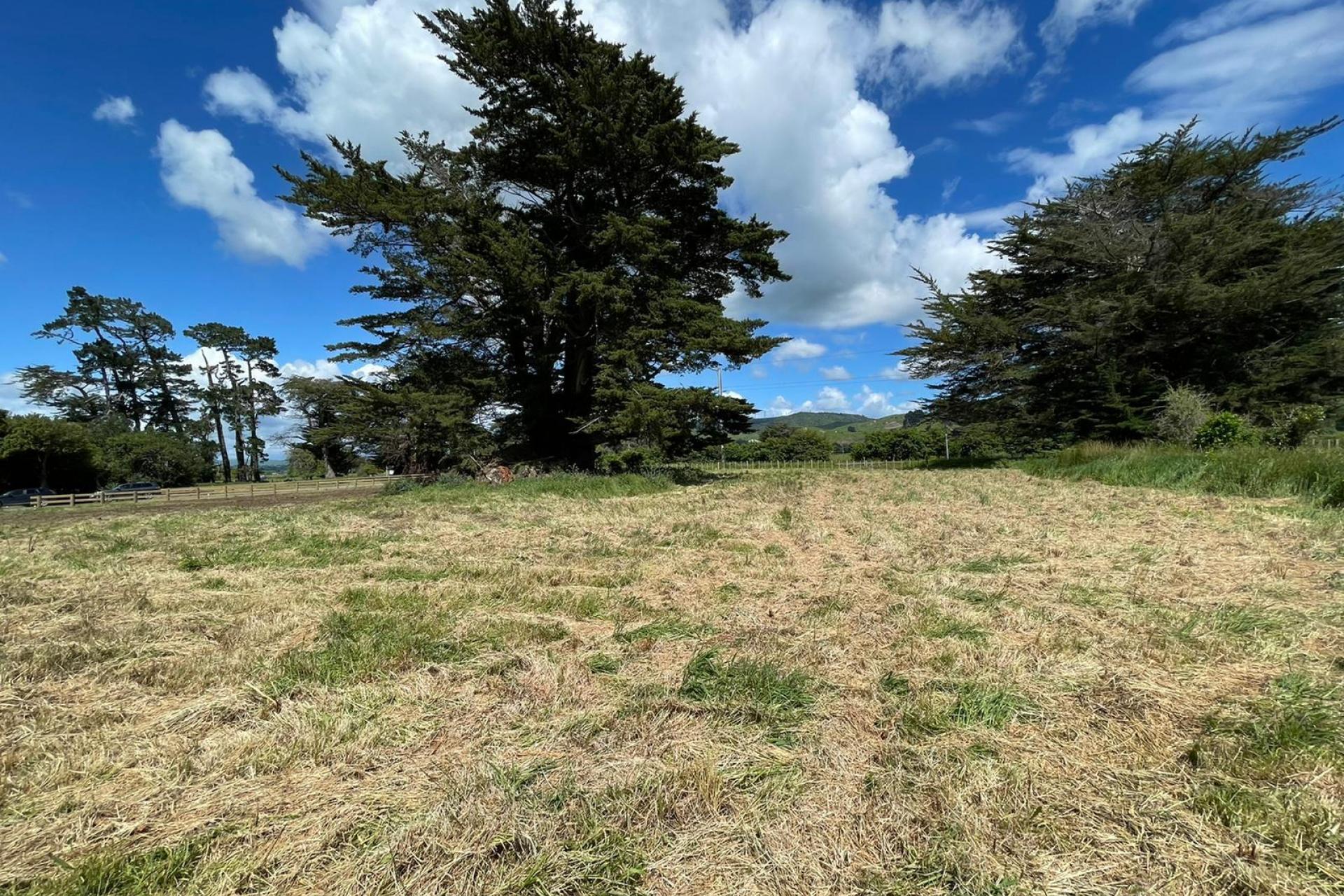 Woodlands Road, Woodville