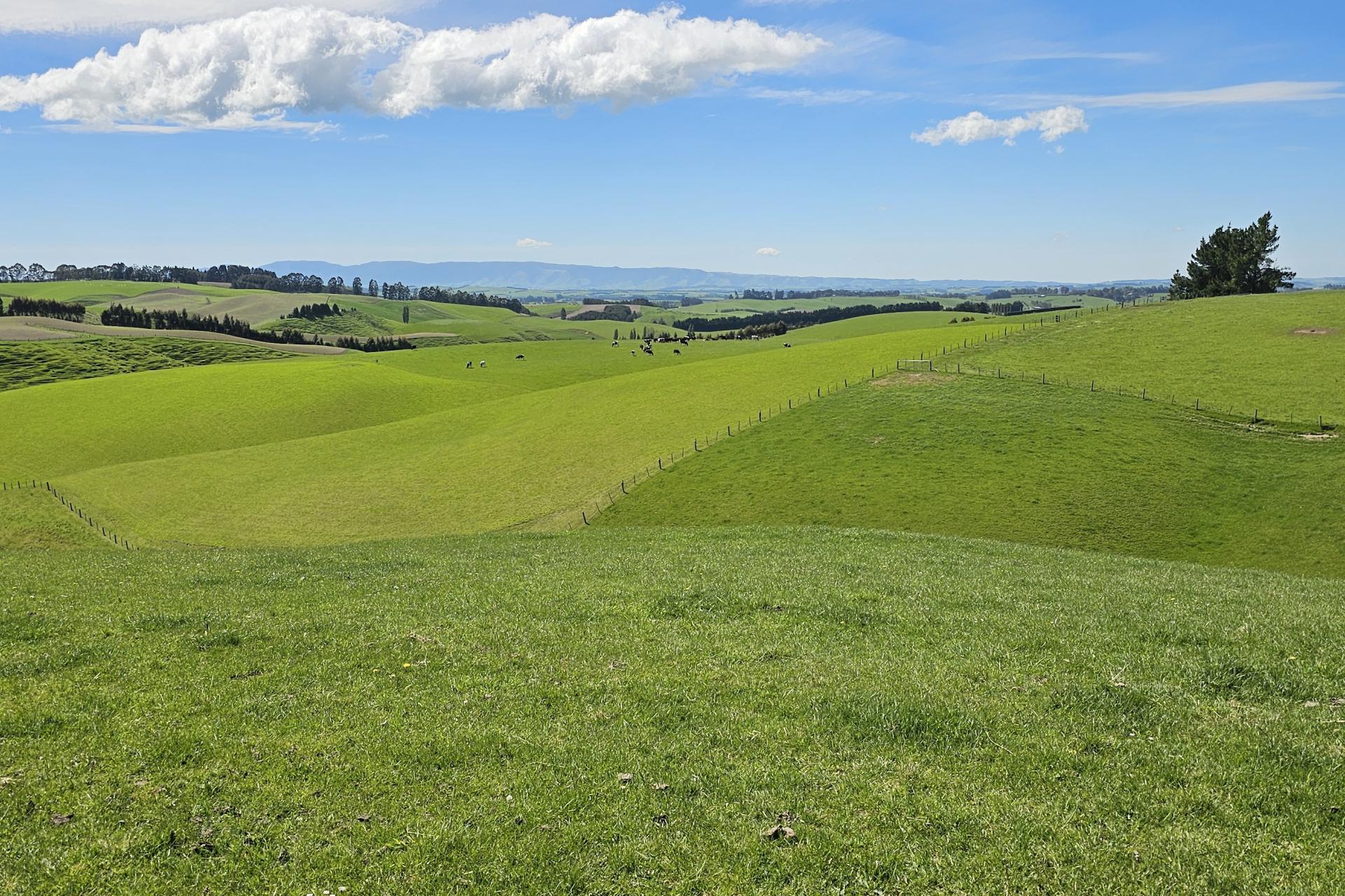 406 Byars Road, Chatton North