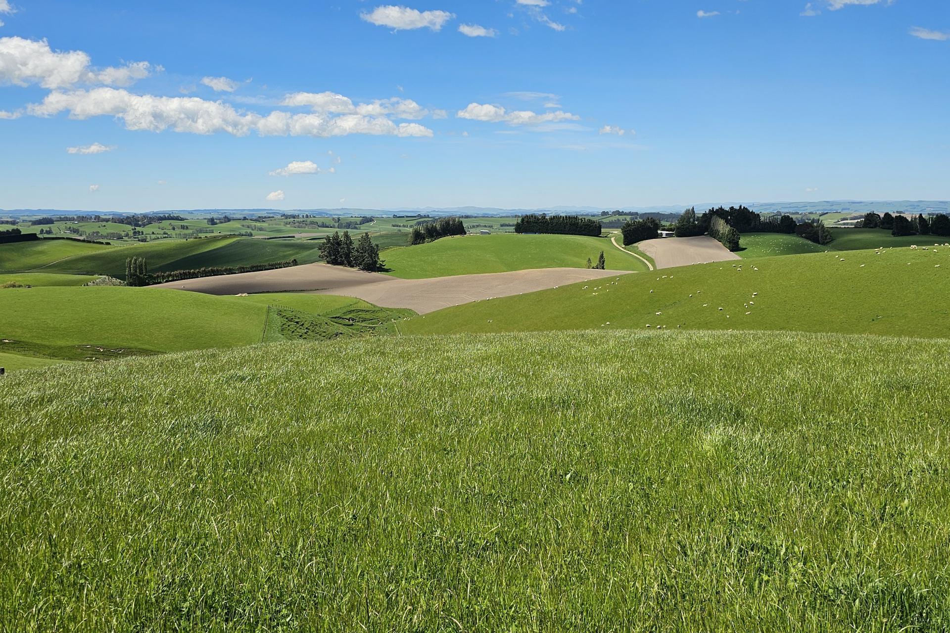 406 Byars Road, Chatton North