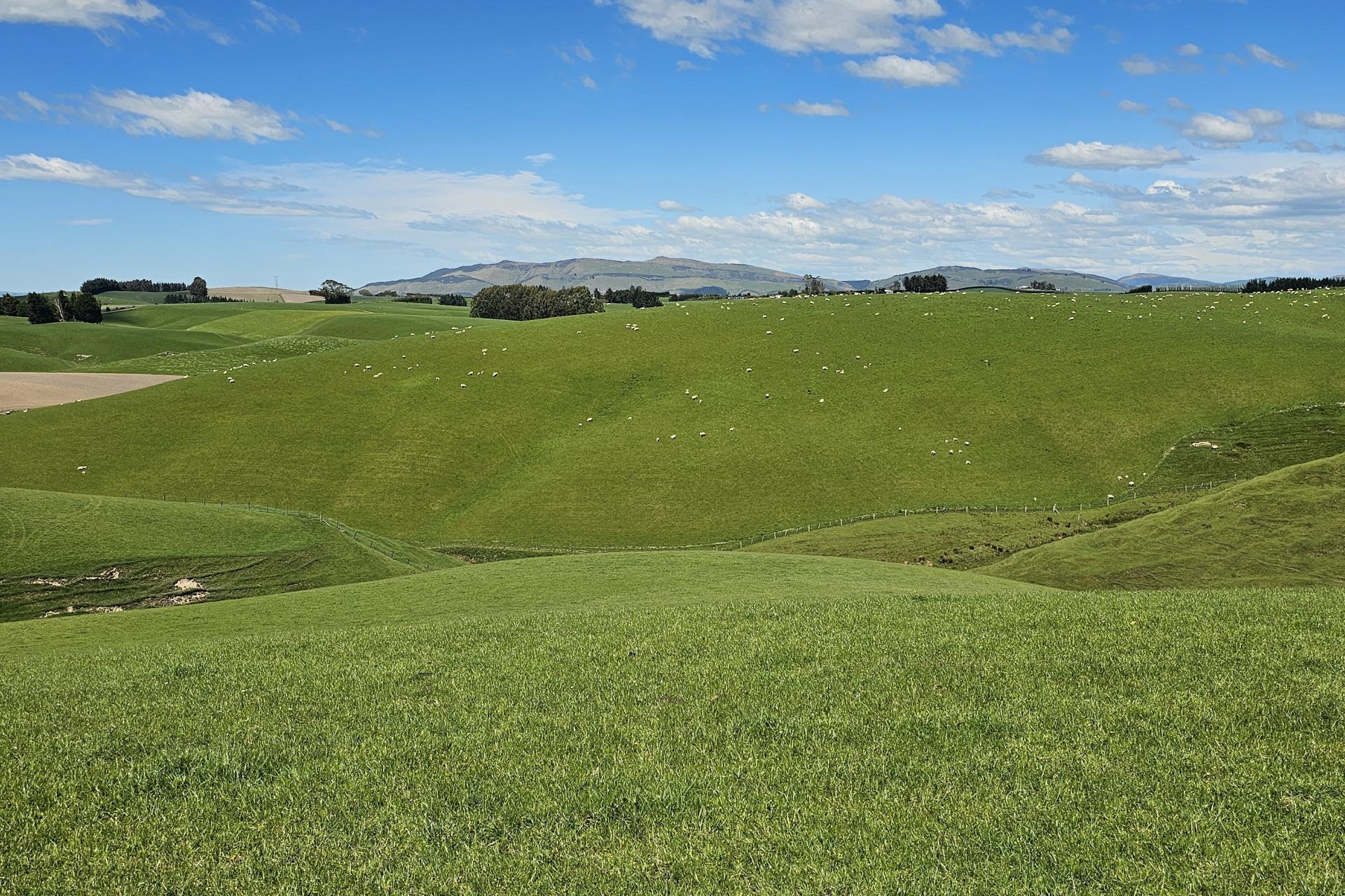 406 Byars Road, Chatton North