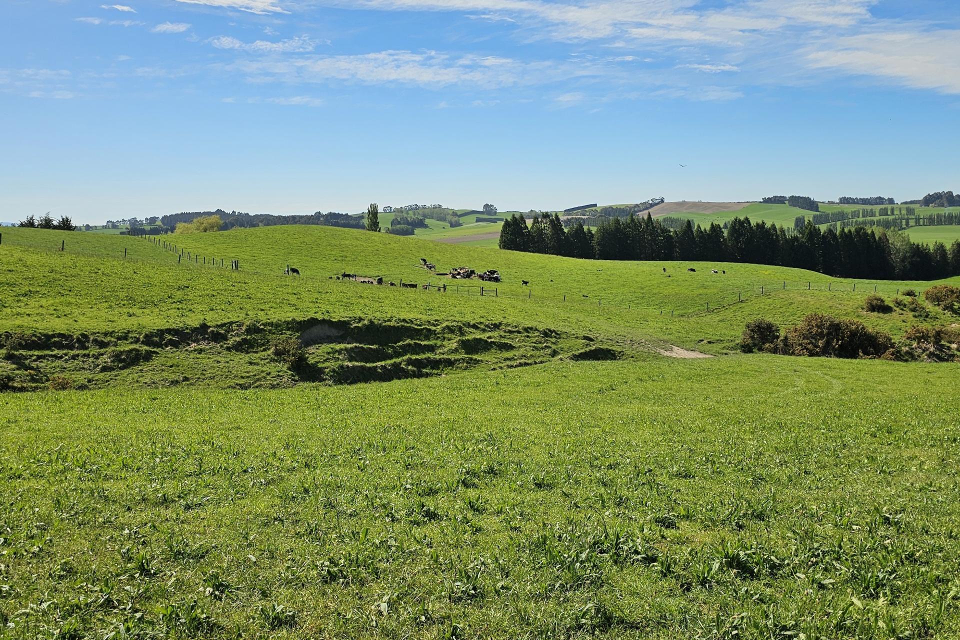 58 Blackhill Road, Chatton