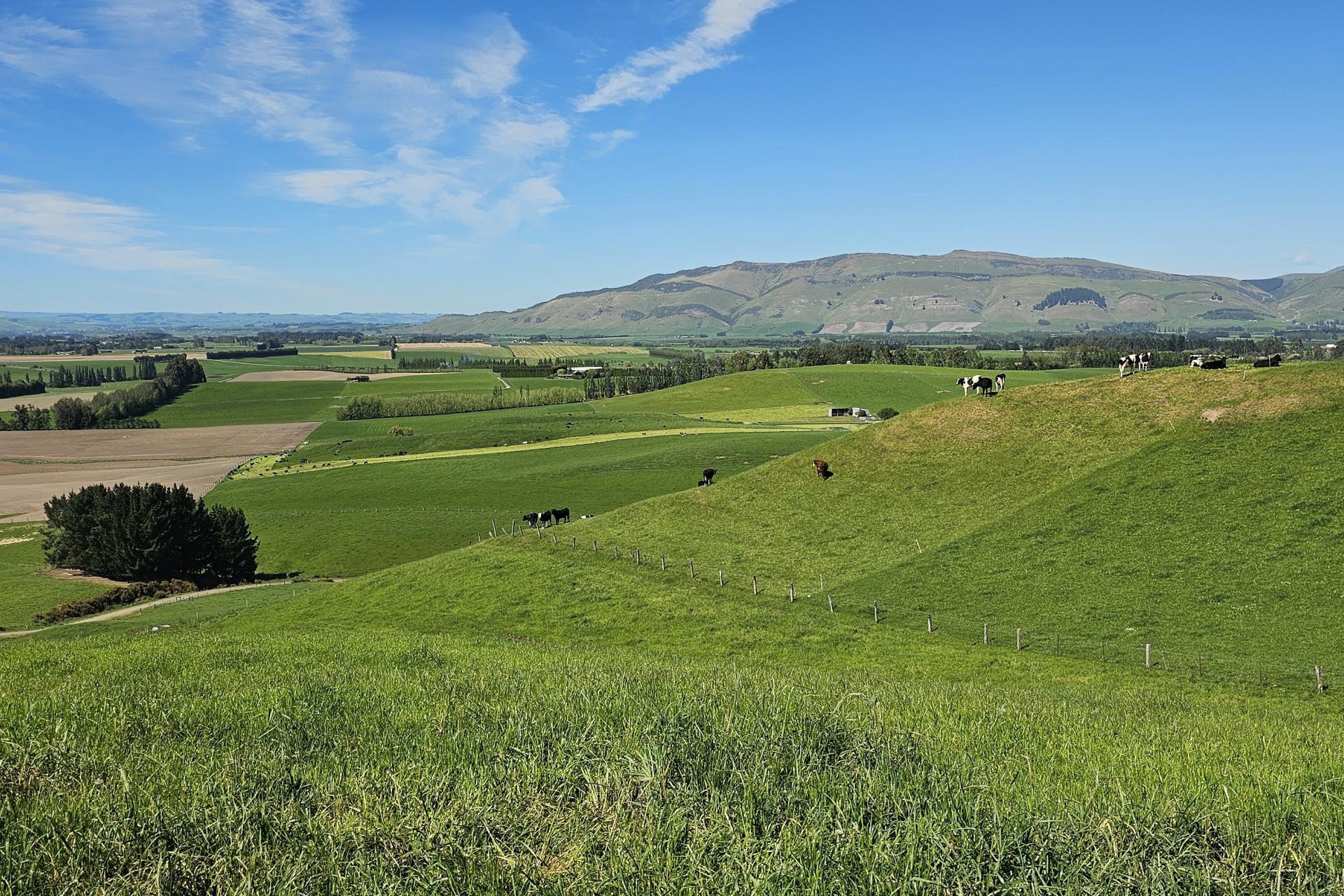 58 Blackhill Road, Chatton