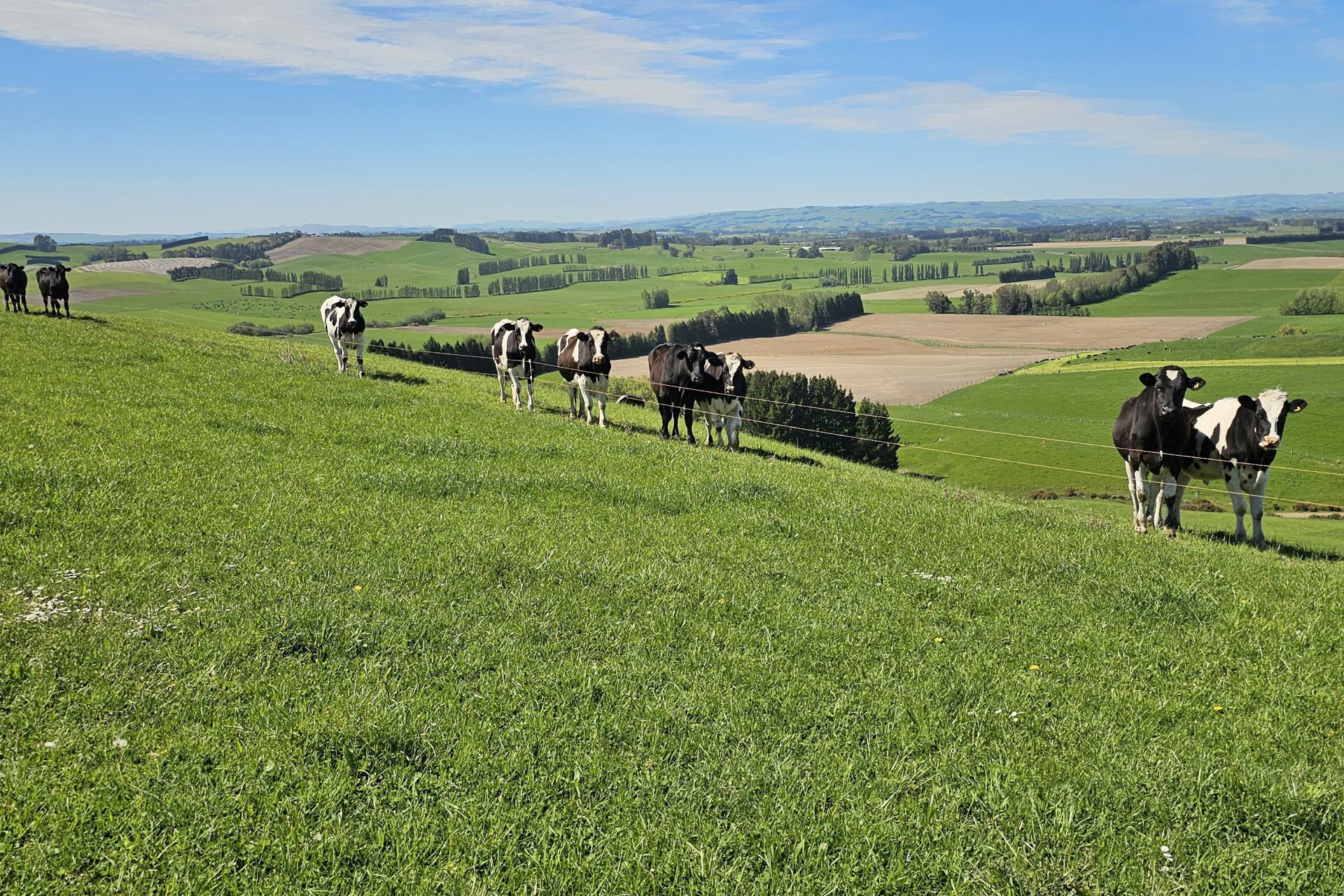 58 Blackhill Road, Chatton