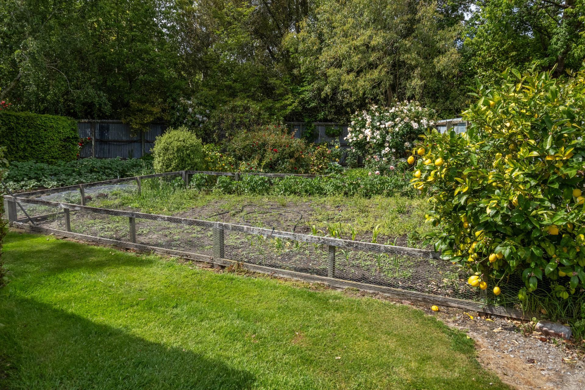 133 Methven Highway, Allenton