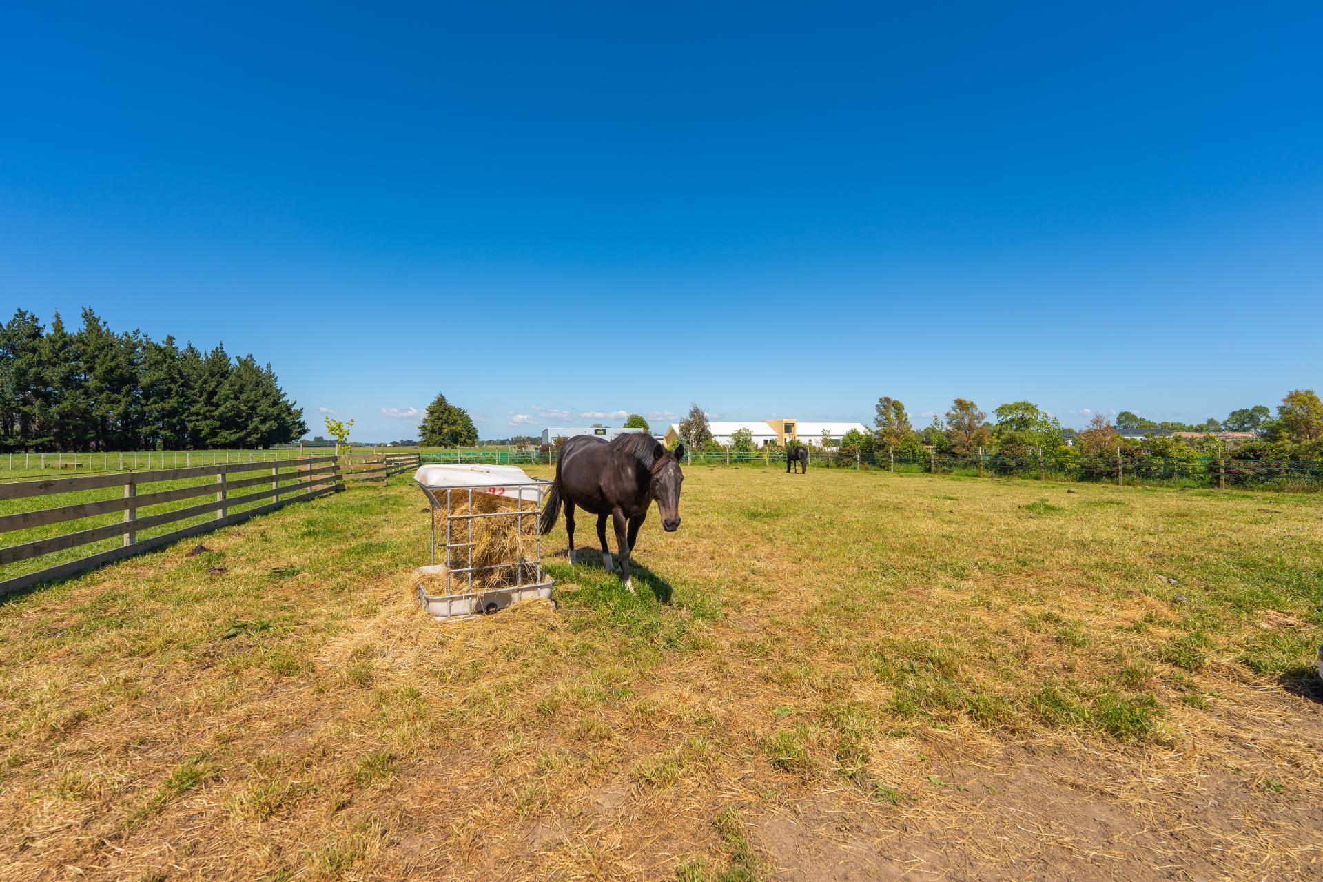 168D Nannestads Line, Bunnythorpe