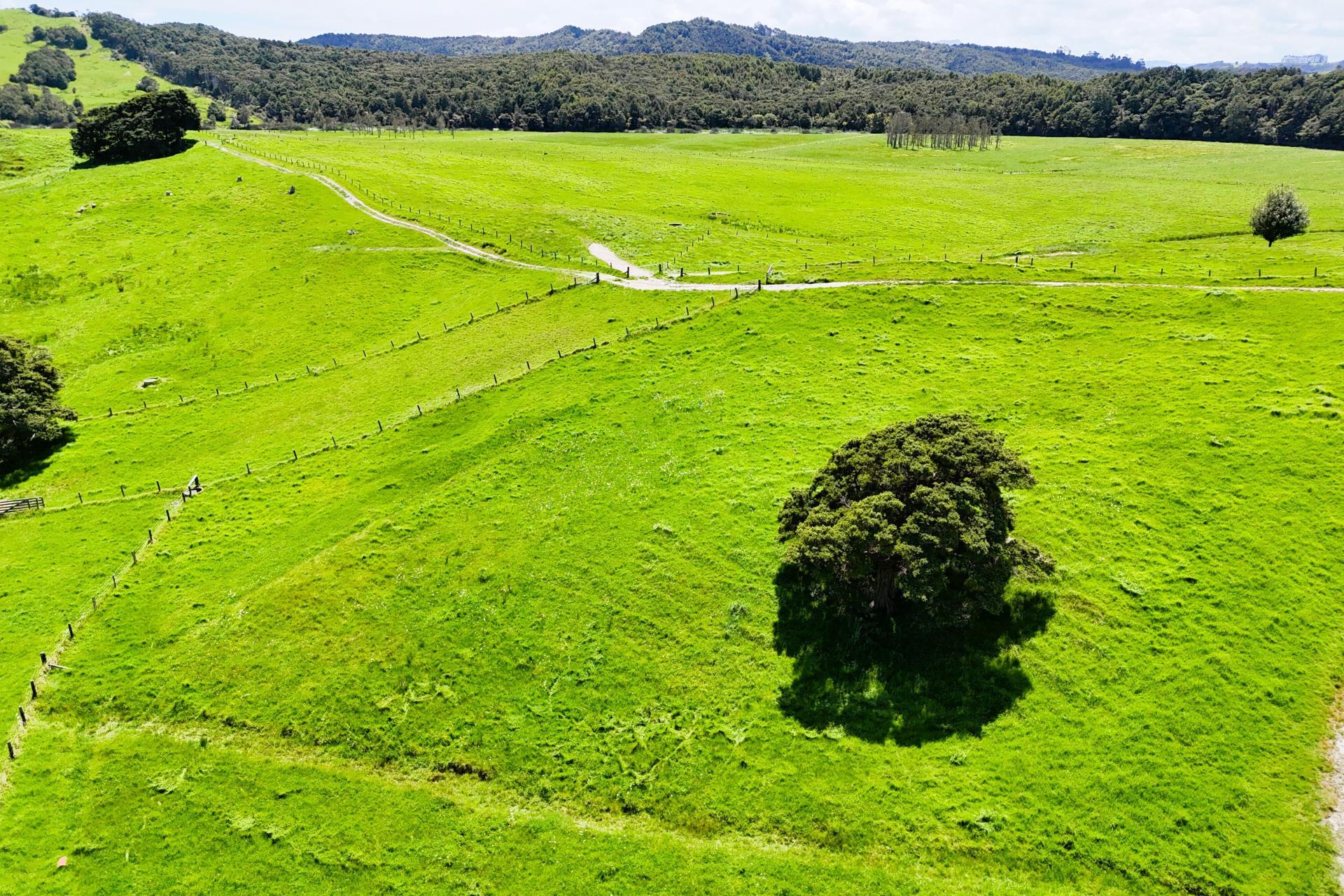 Lot 3 Pukehuia Road, Arapohue