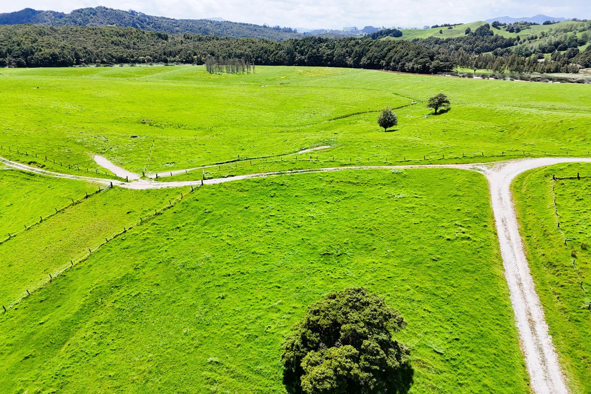 Lot 3 Pukehuia Road, Arapohue