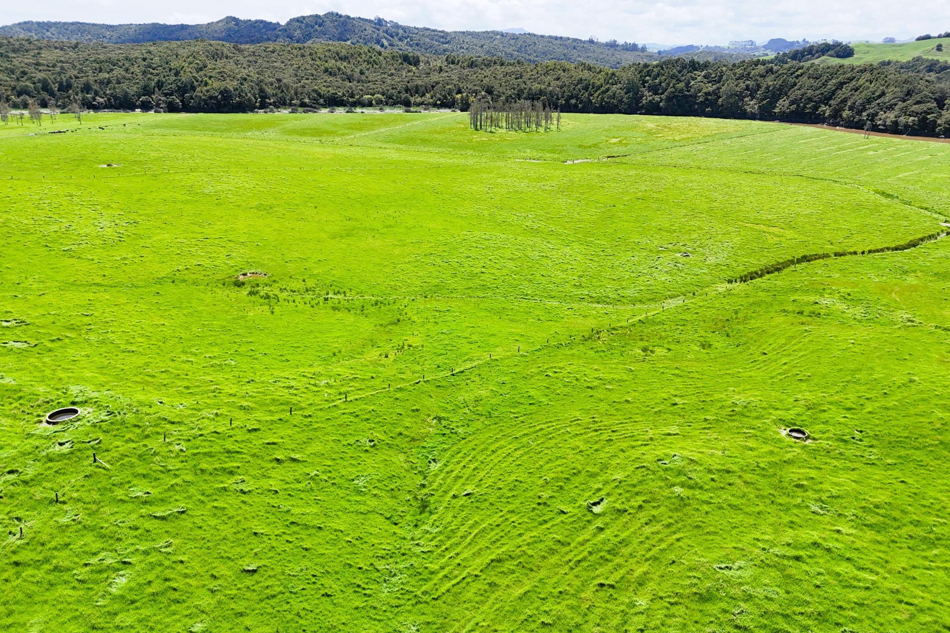 Lot 3 Pukehuia Road, Arapohue