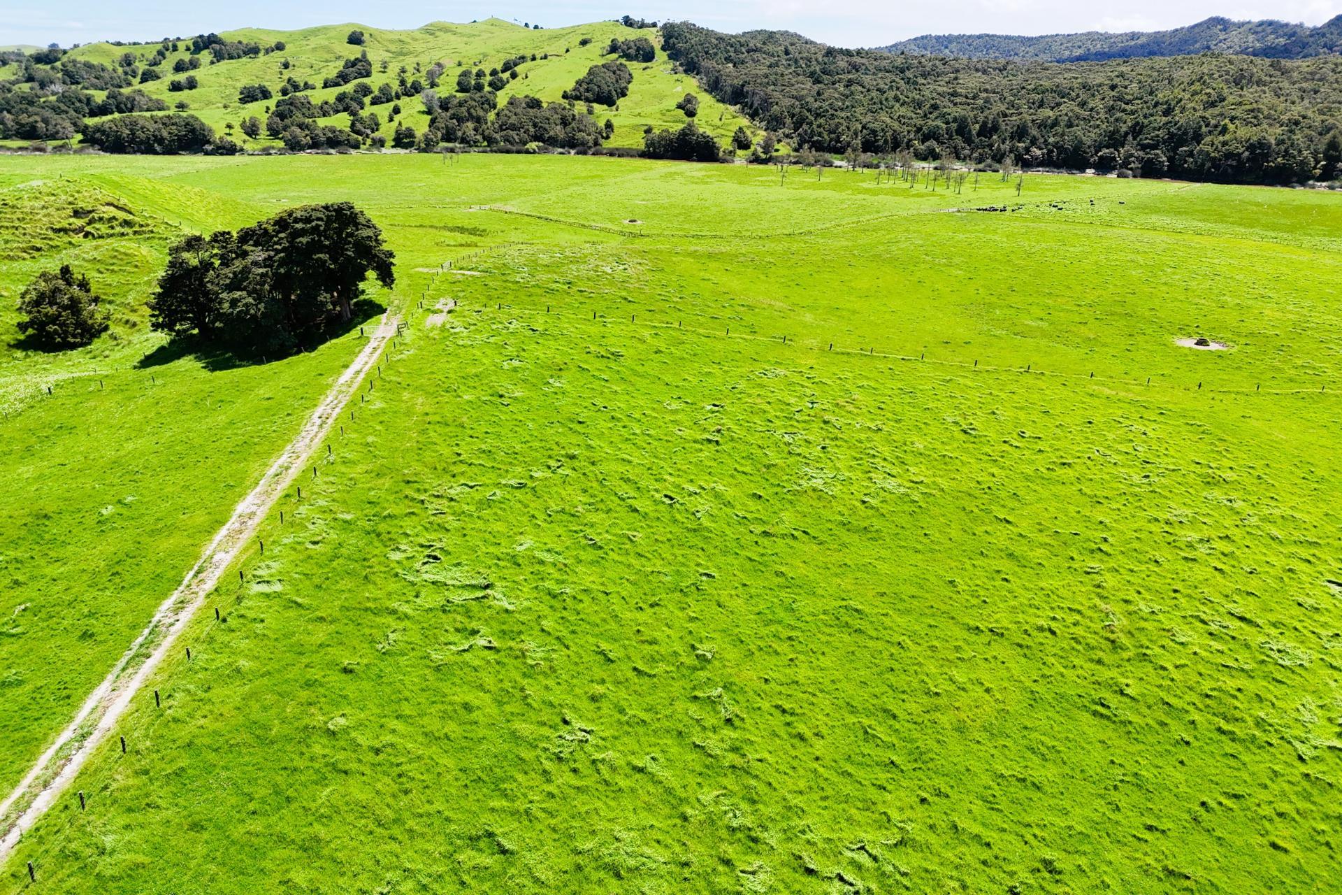 Lot 3 Pukehuia Road, Arapohue