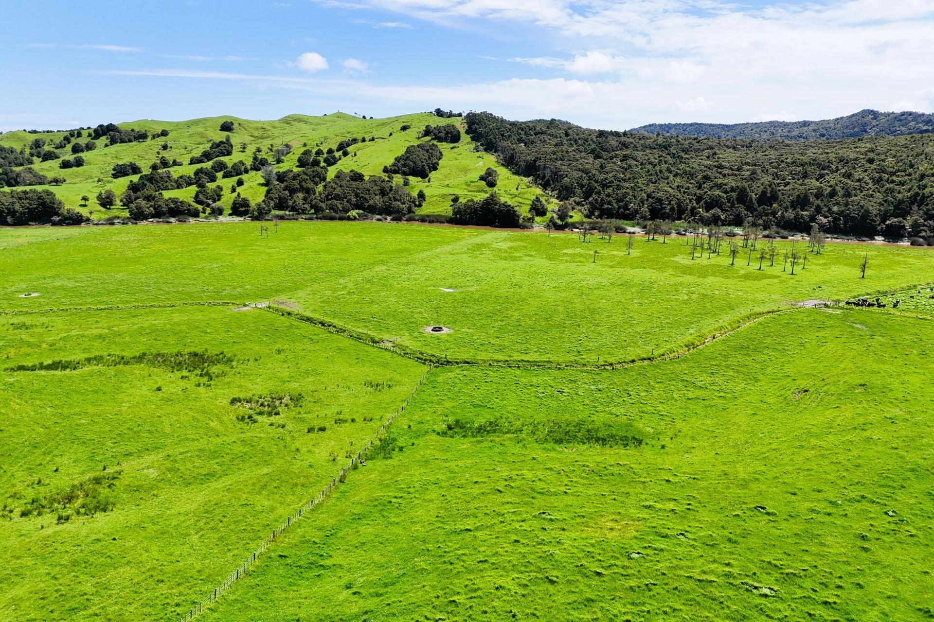 Lot 3 Pukehuia Road, Arapohue