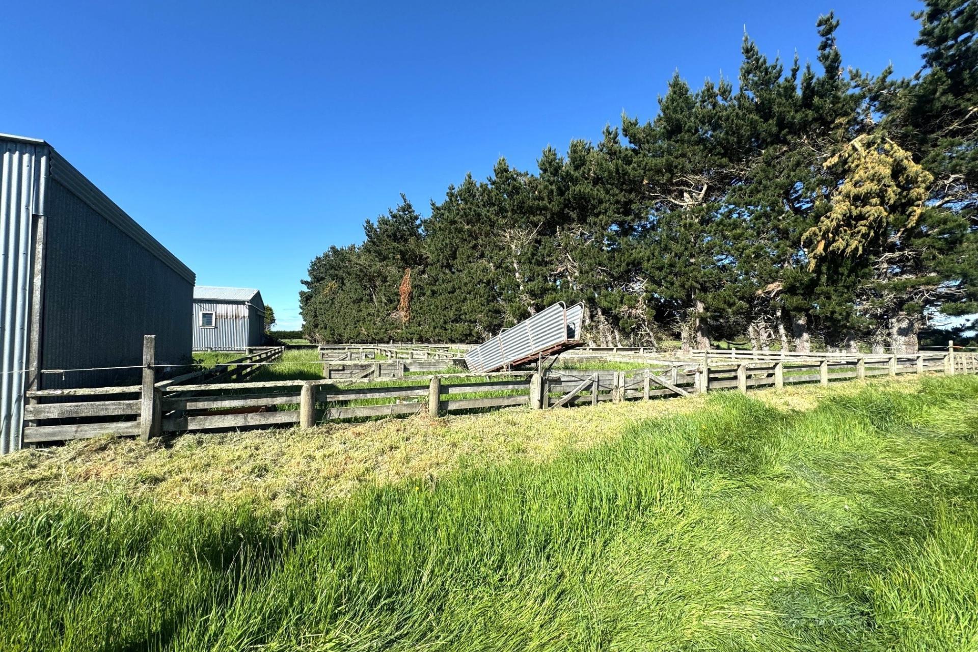 776 Ryal Bush Wallacetown Road, Wallacetown