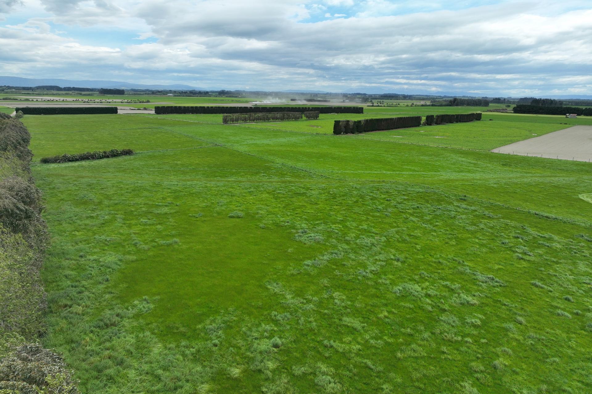 776 Ryal Bush Wallacetown Road, Wallacetown