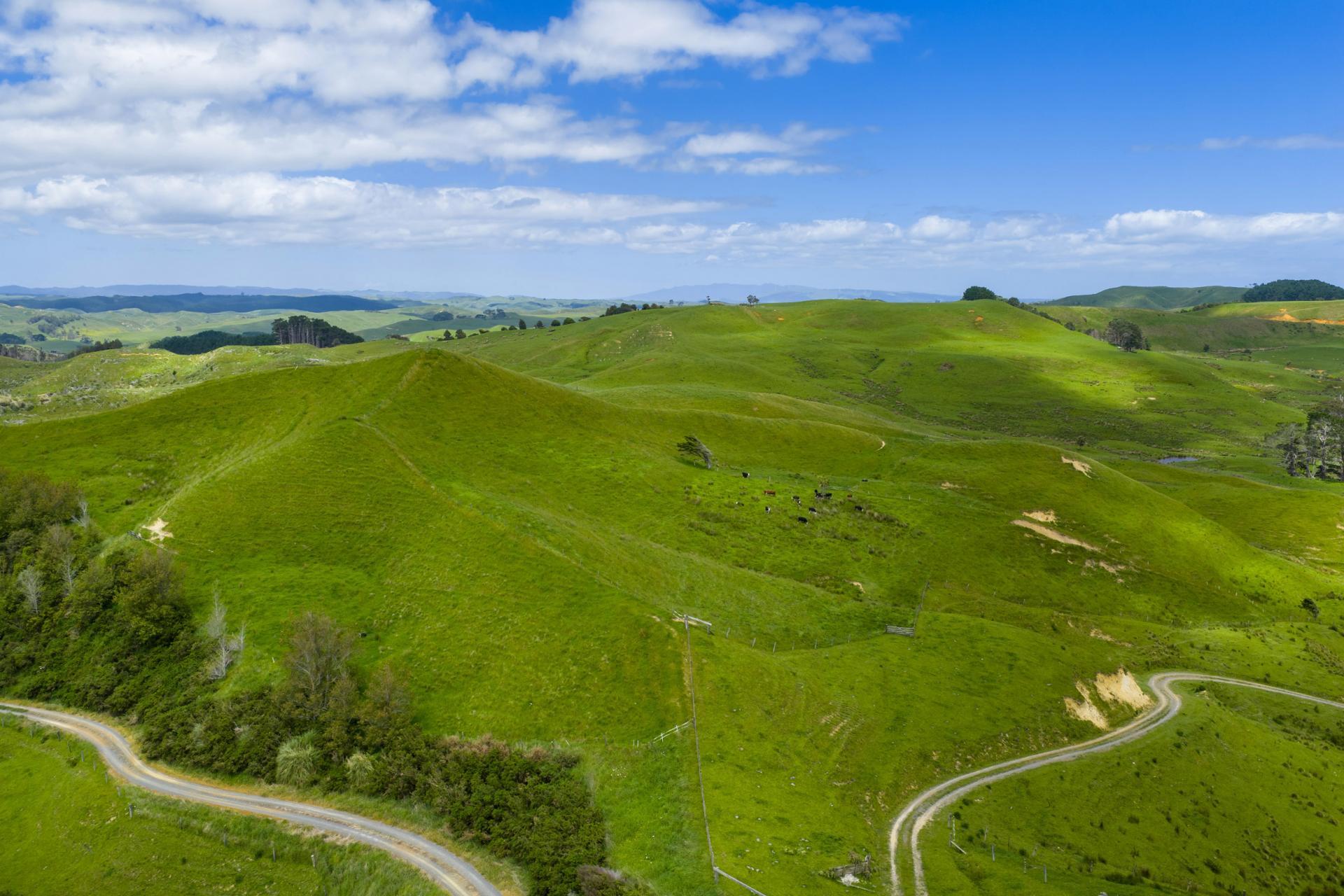 Te Akau Coast Road, Te Akau