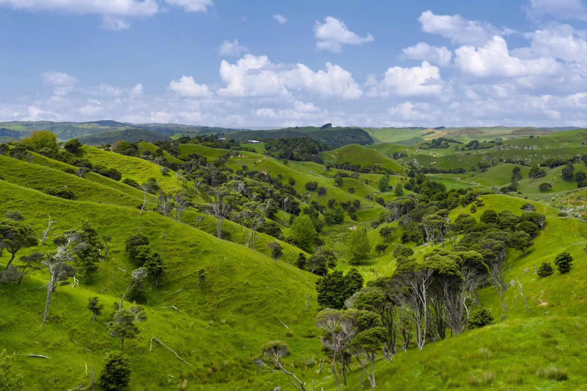 Te Akau Coast Road, Te Akau