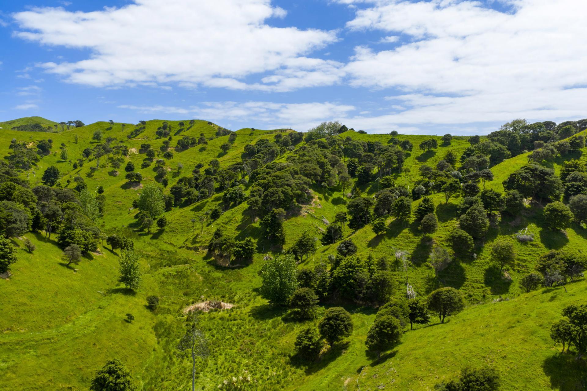 Te Akau Coast Road, Te Akau