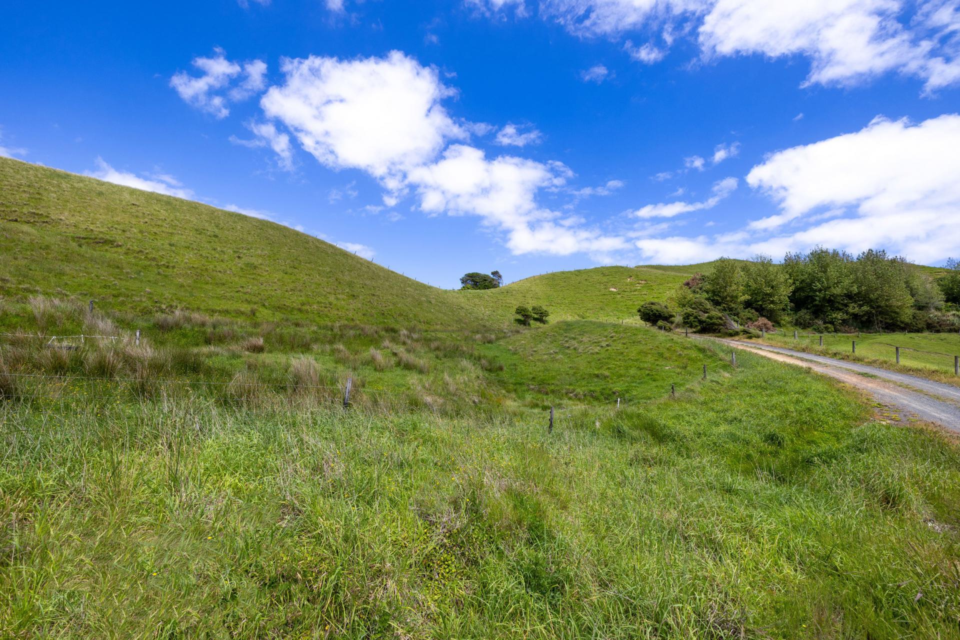 Te Akau Coast Road, Te Akau