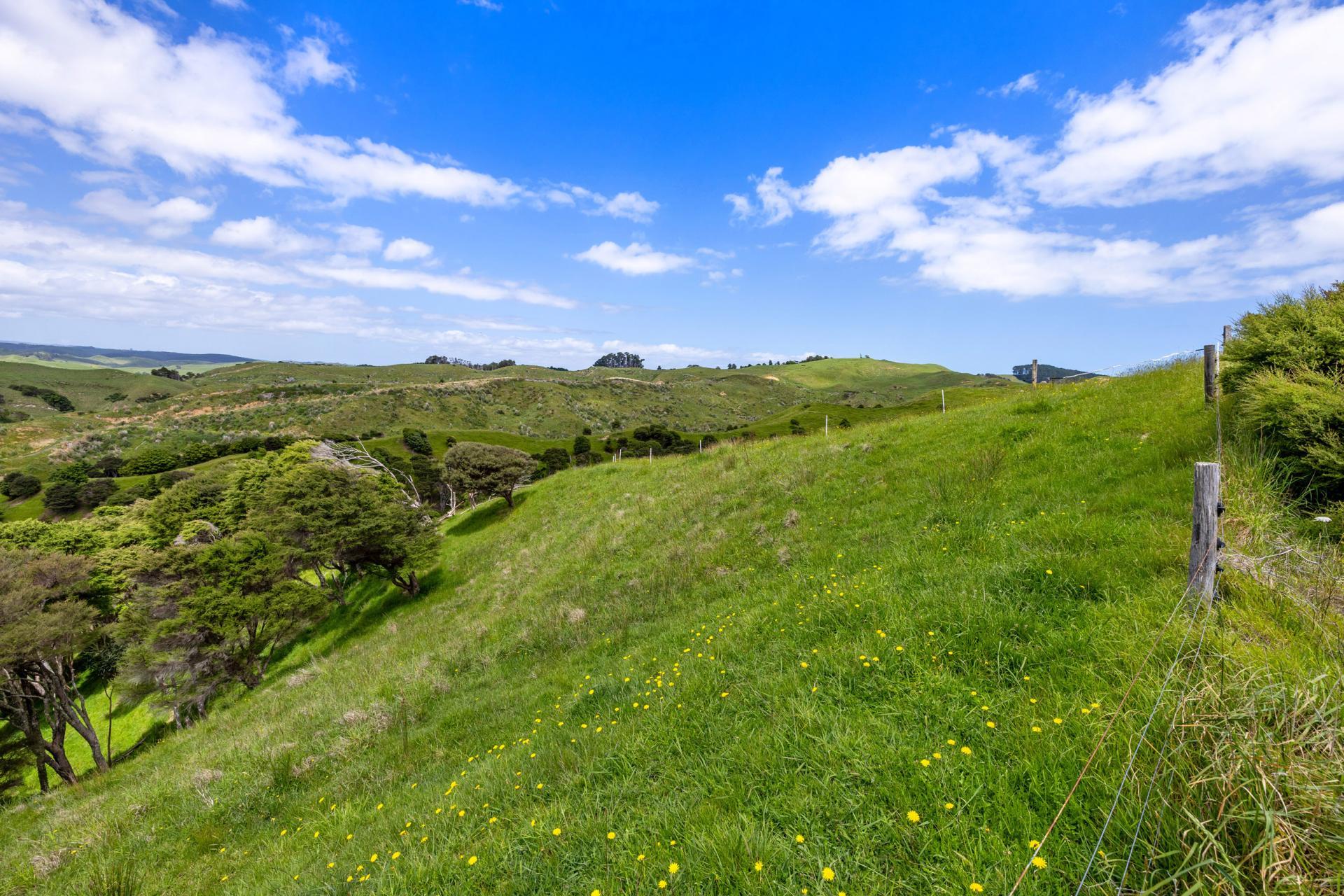Te Akau Coast Road, Te Akau