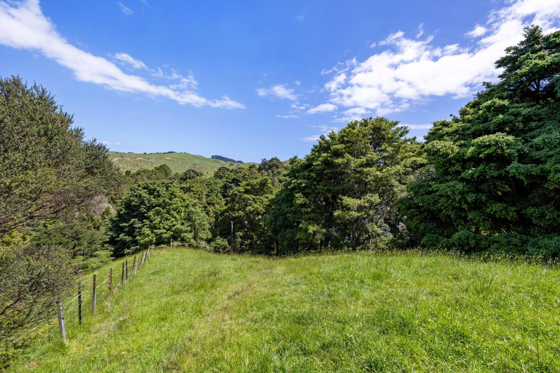Te Akau Coast Road, Te Akau