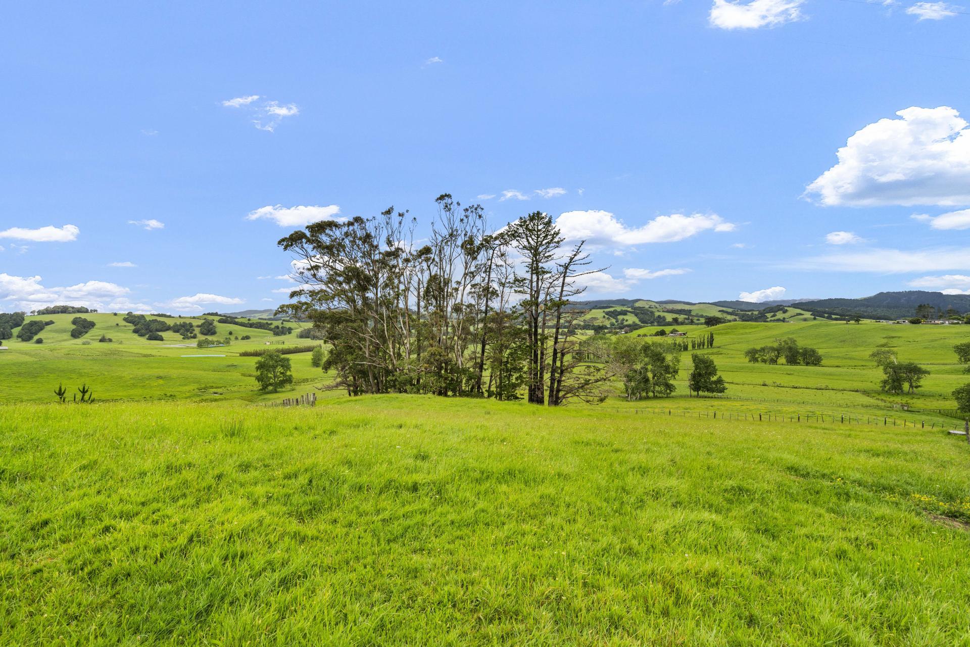 158 Waiteitei Road, Waiteitei
