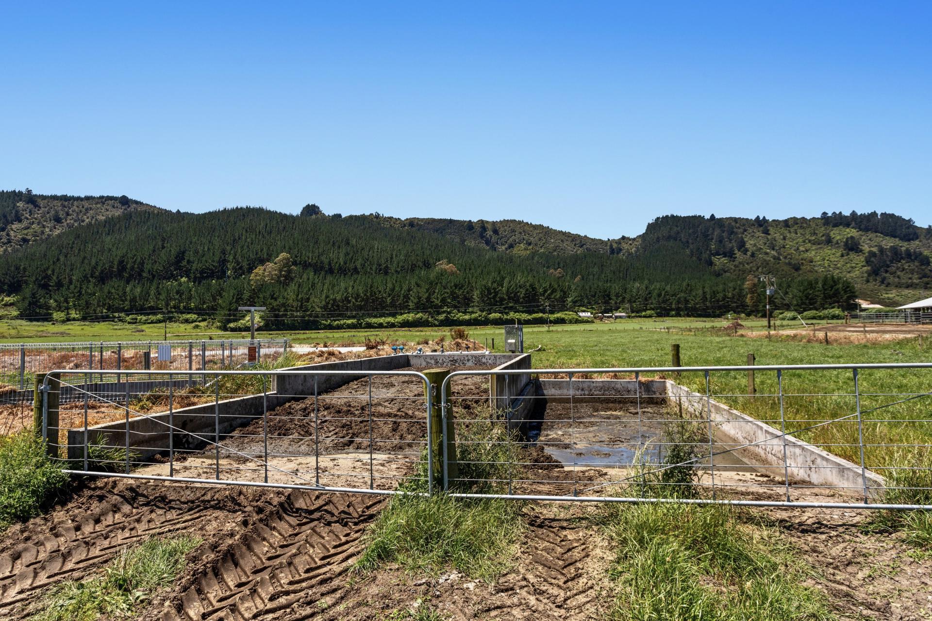 2106 Galatea Road, Waiohau