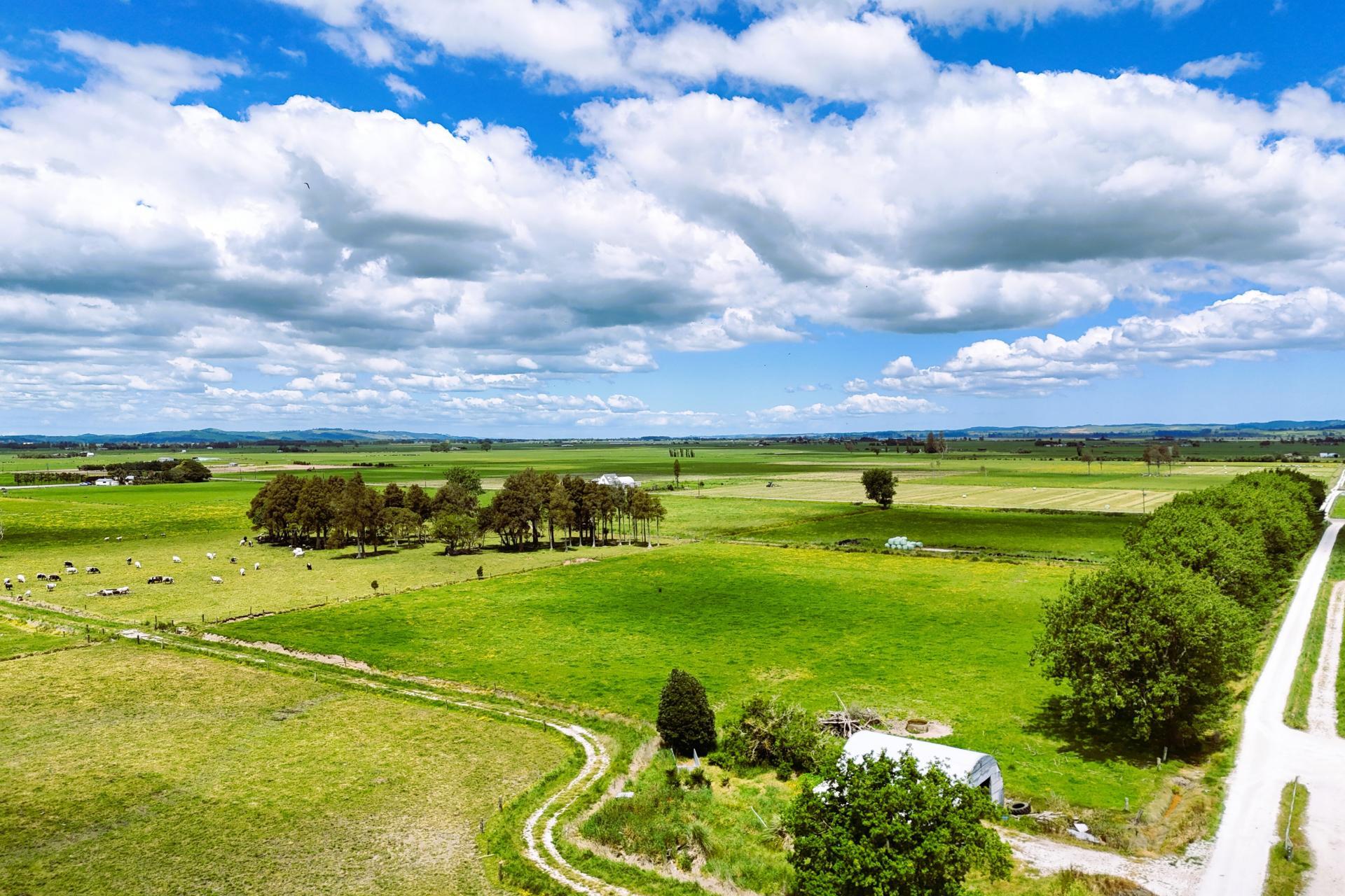 87 Tramline Road, Ruawai