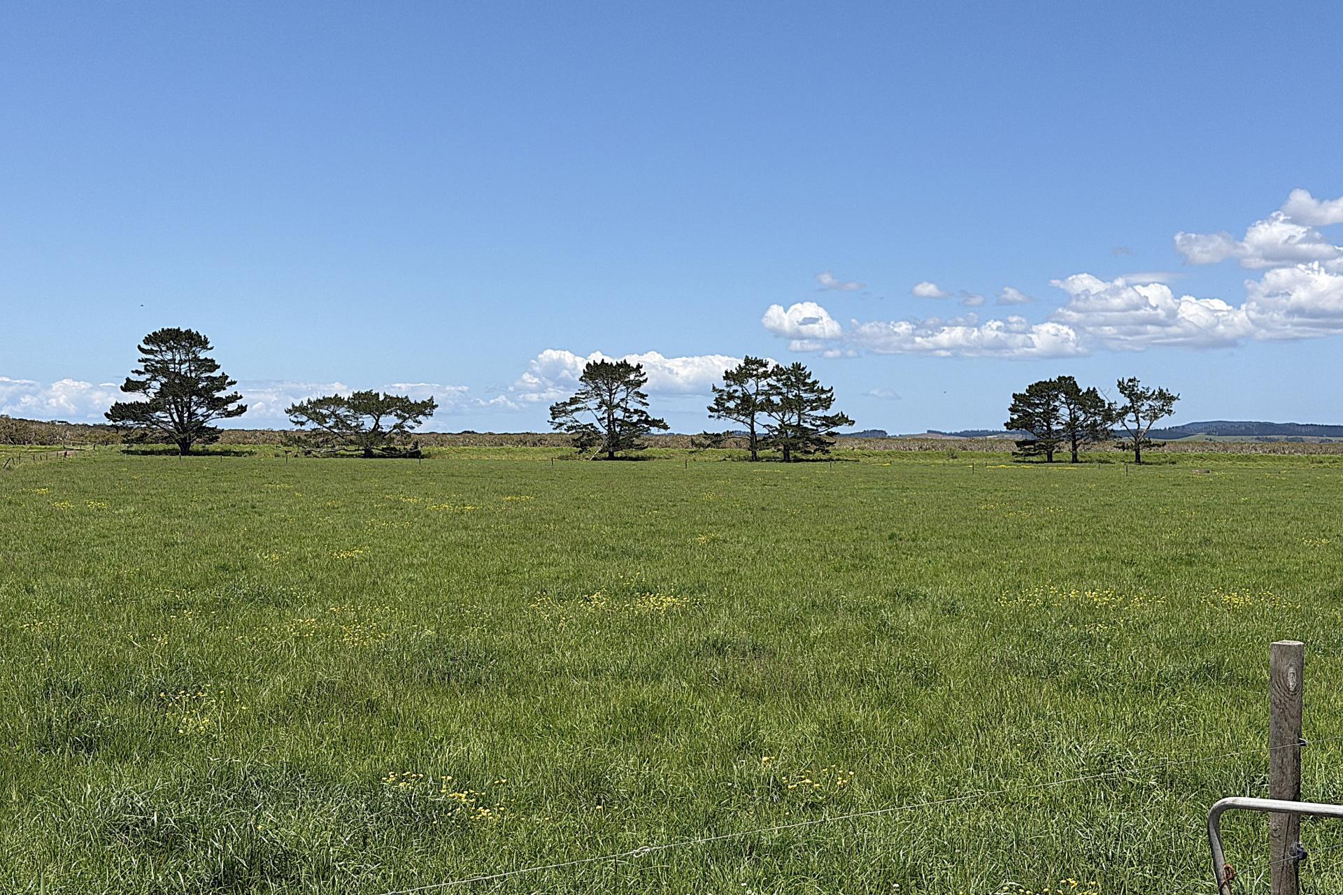 194 Whakatu Road, Ruawai