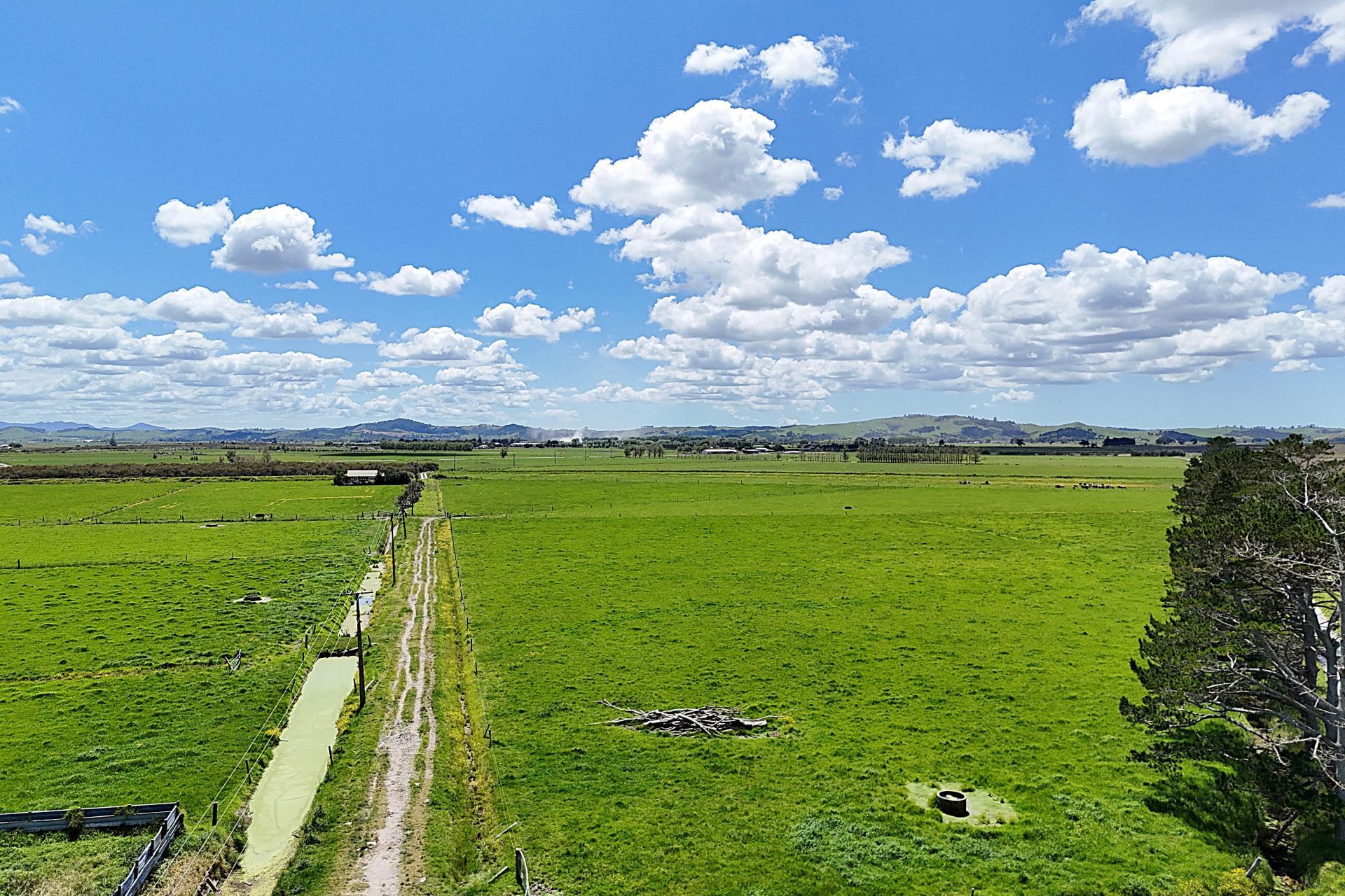 194 Whakatu Road, Ruawai