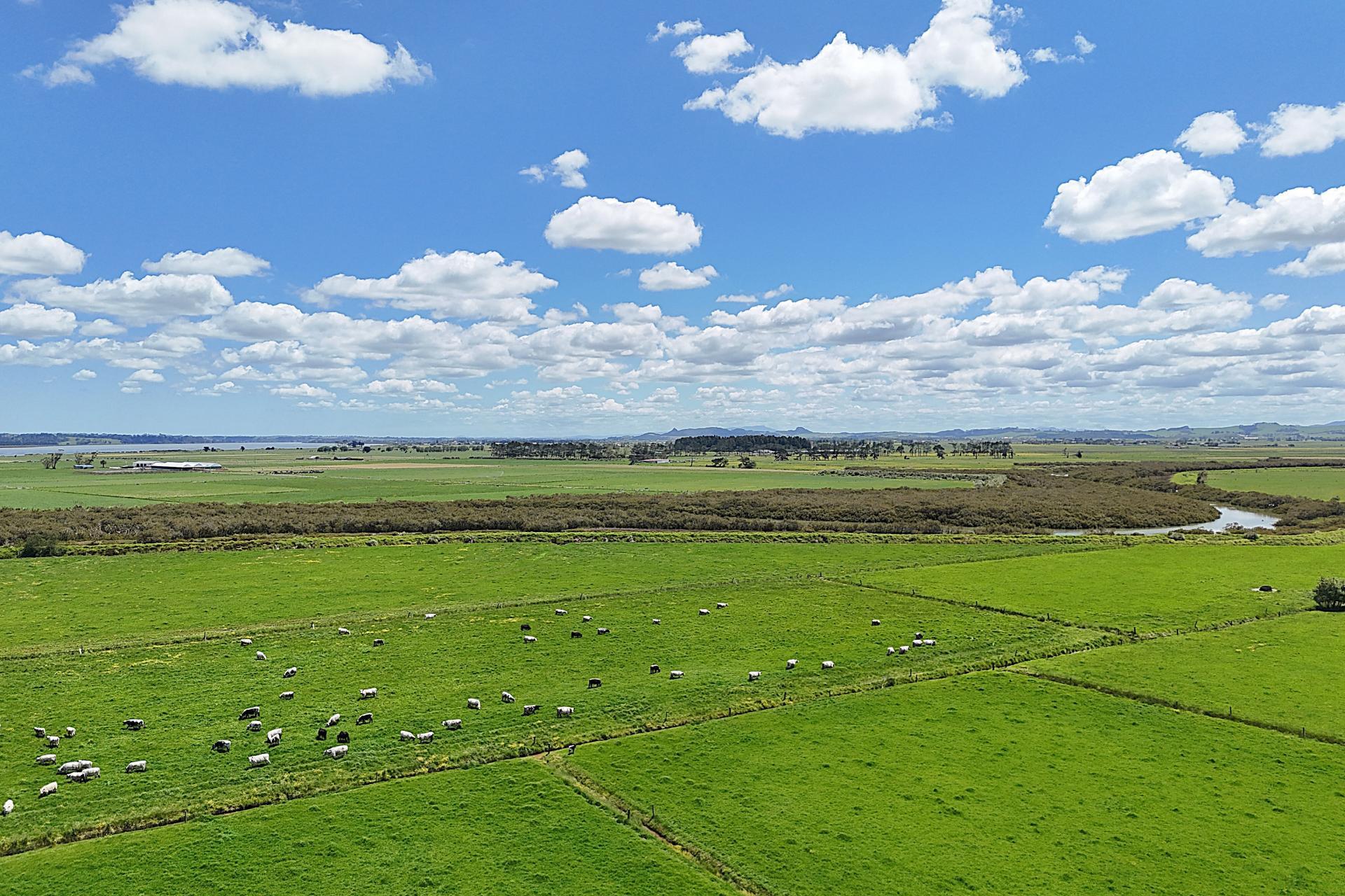 194 Whakatu Road, Ruawai