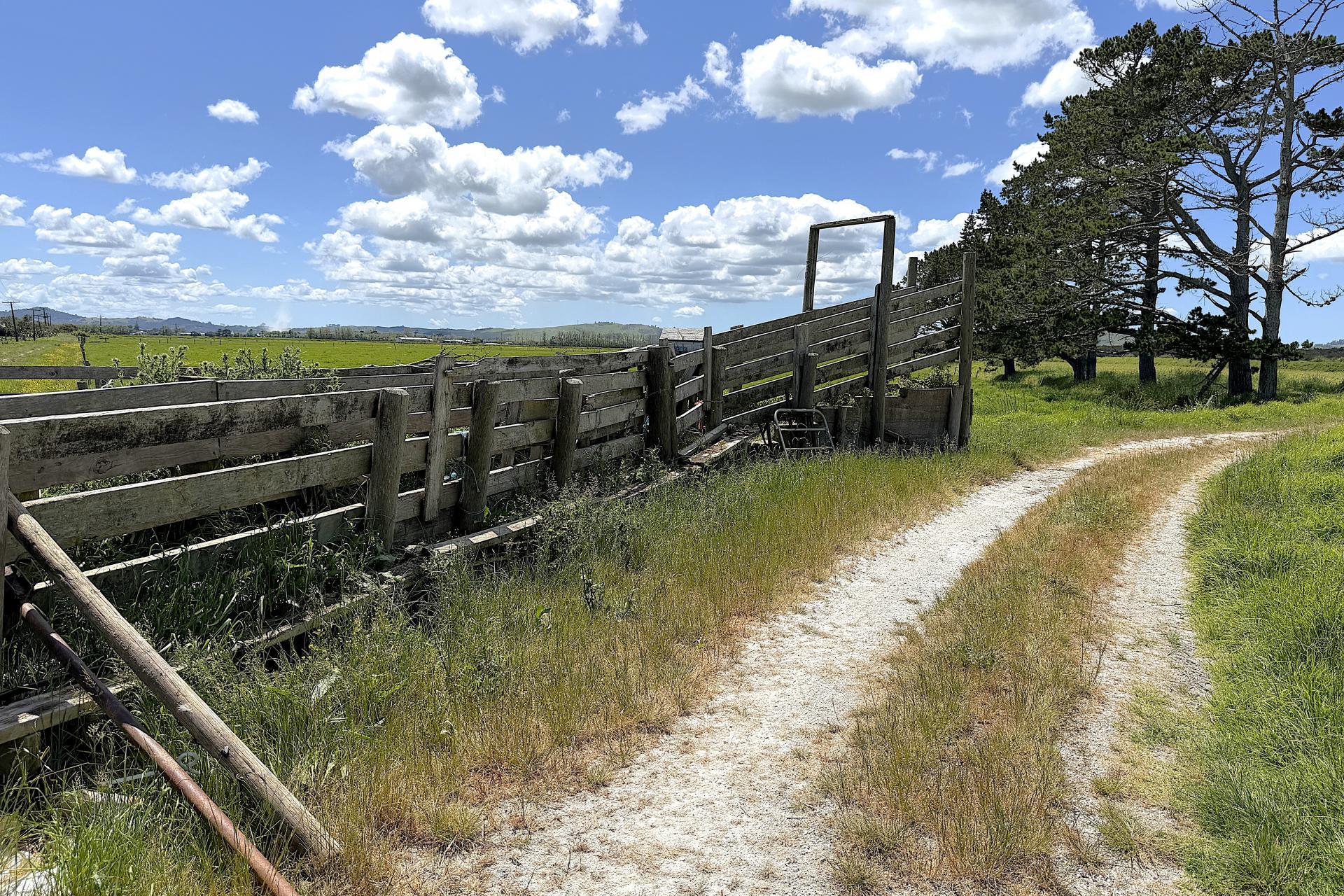 194 Whakatu Road, Ruawai