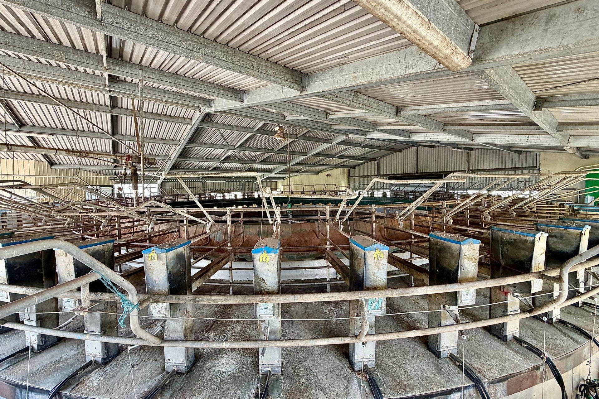 331 Simpson Road, Ruawai