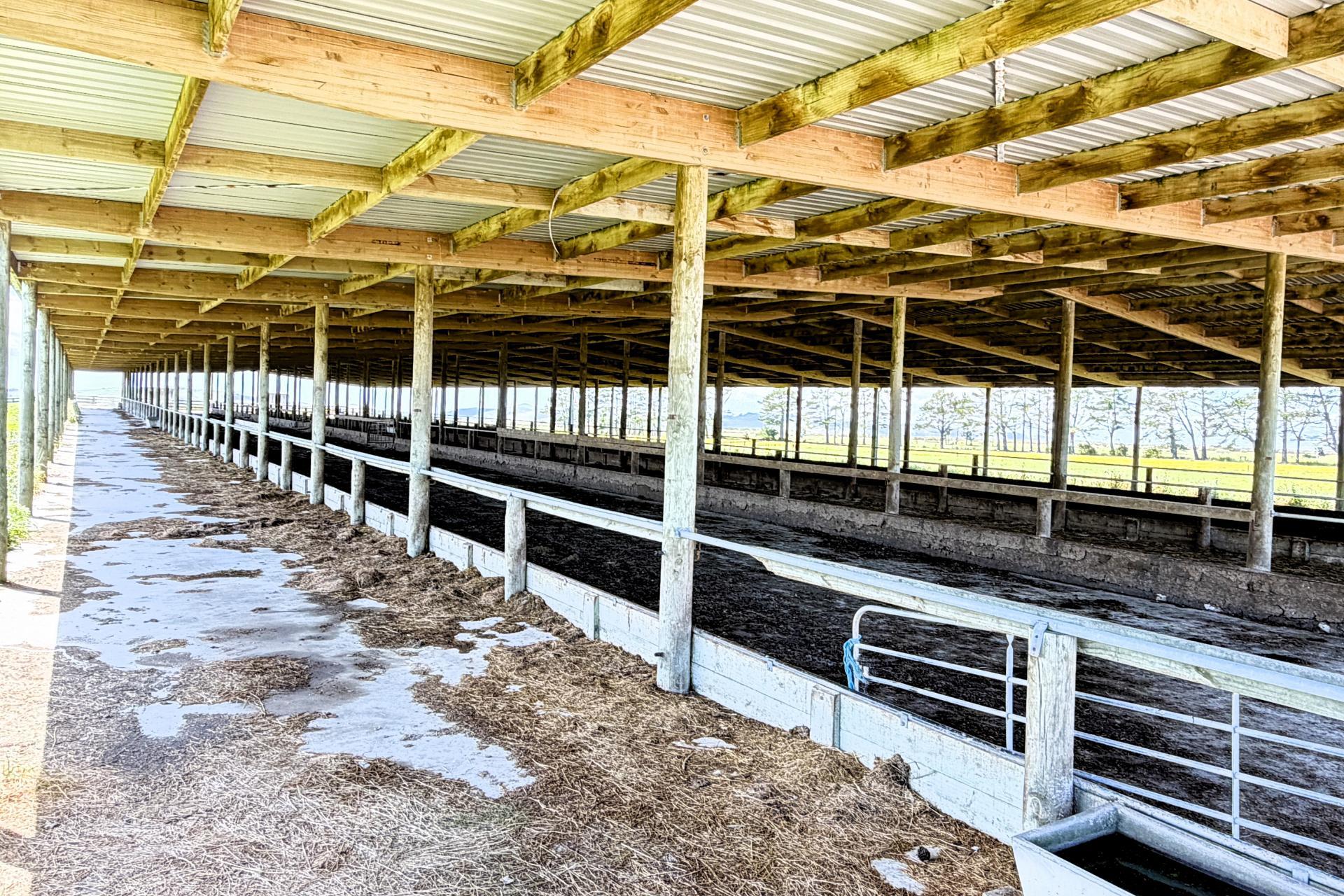 331 Simpson Road, Ruawai