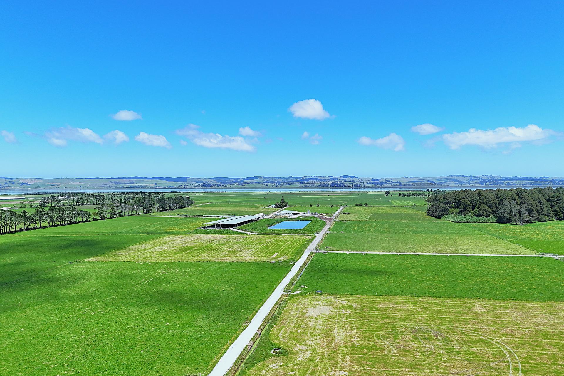 331 Simpson Road, Ruawai