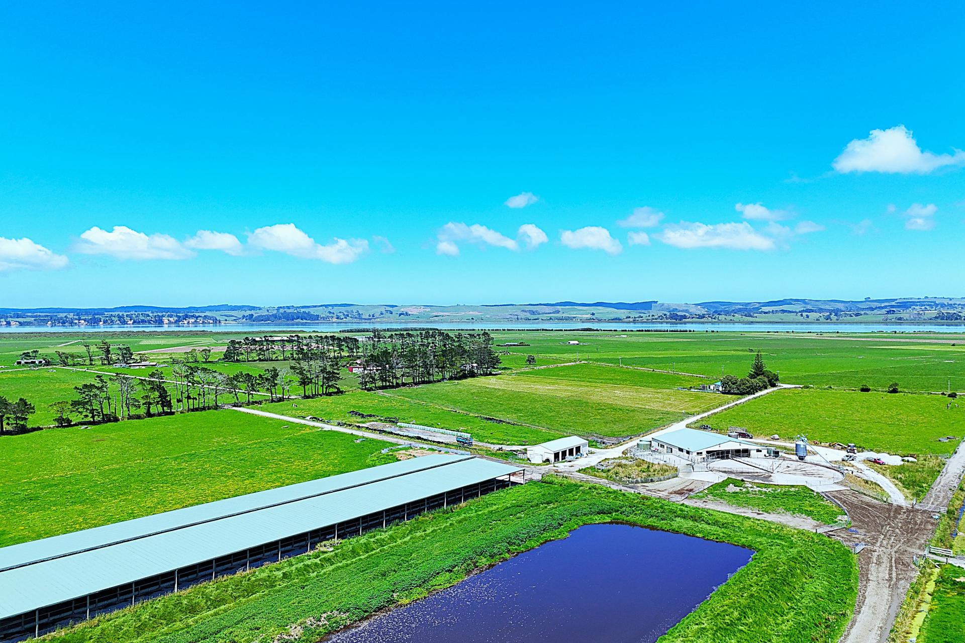 331 Simpson Road, Ruawai