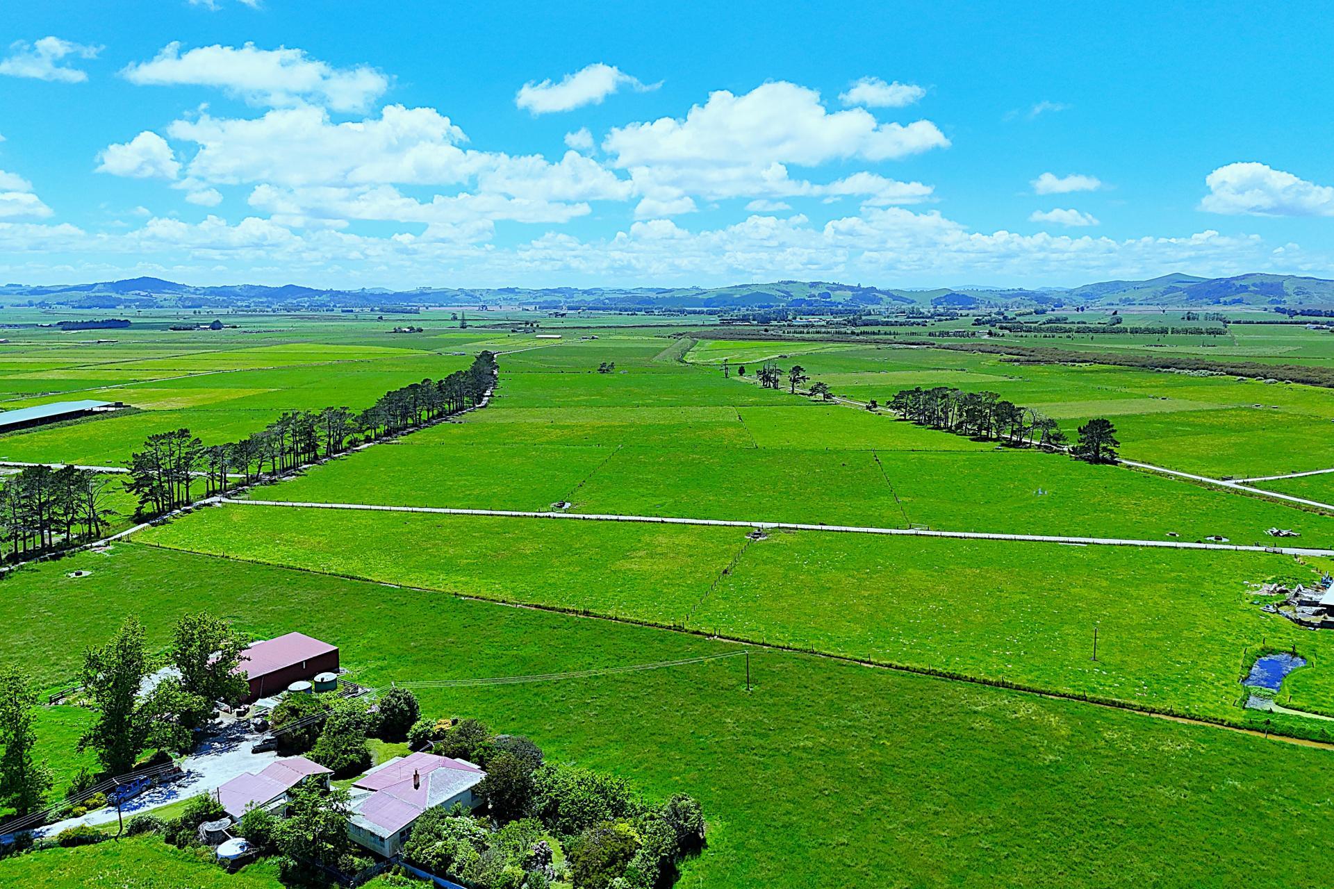 331 Simpson Road, Ruawai